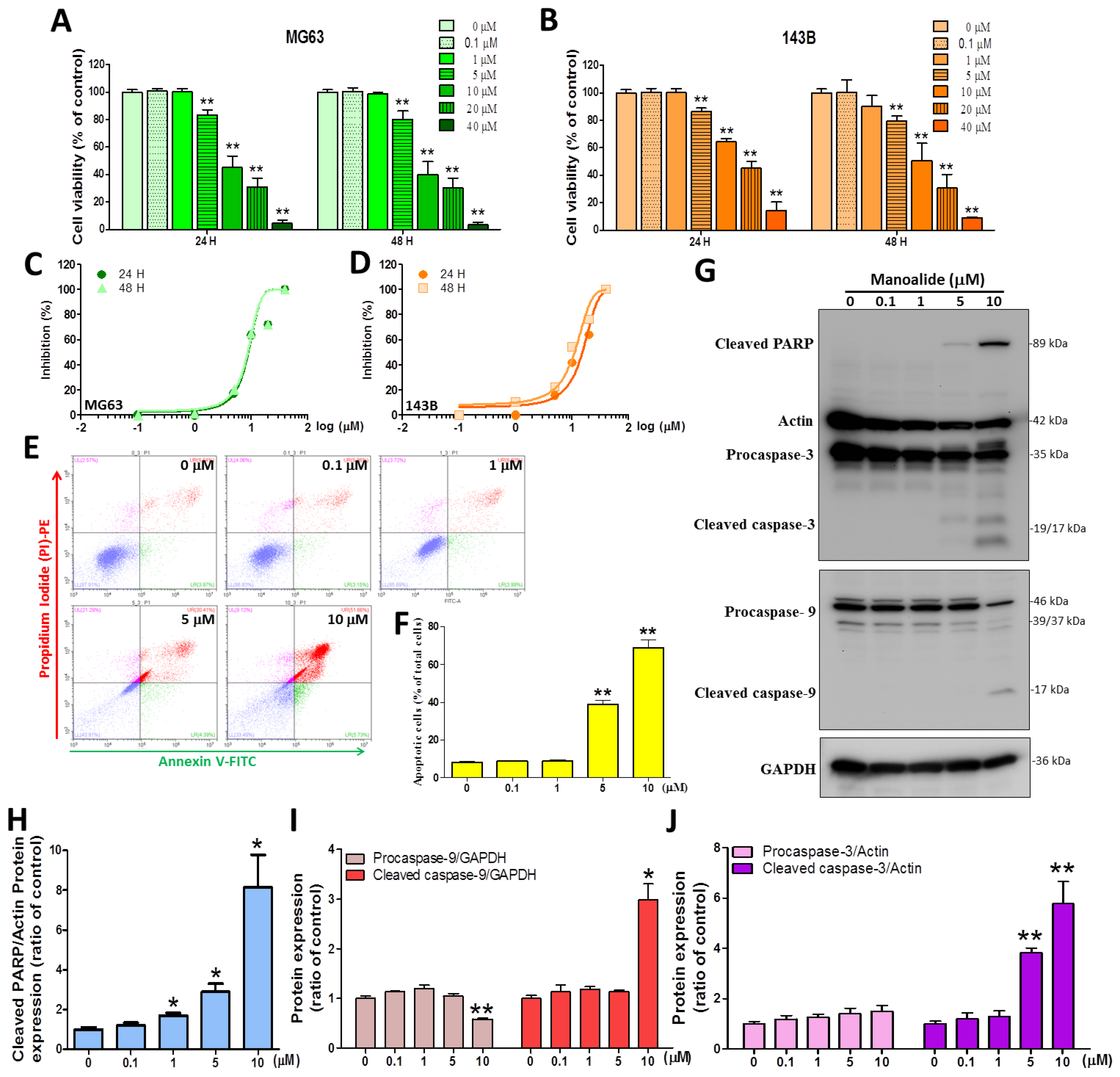 Antioxidants 12 01422 g001