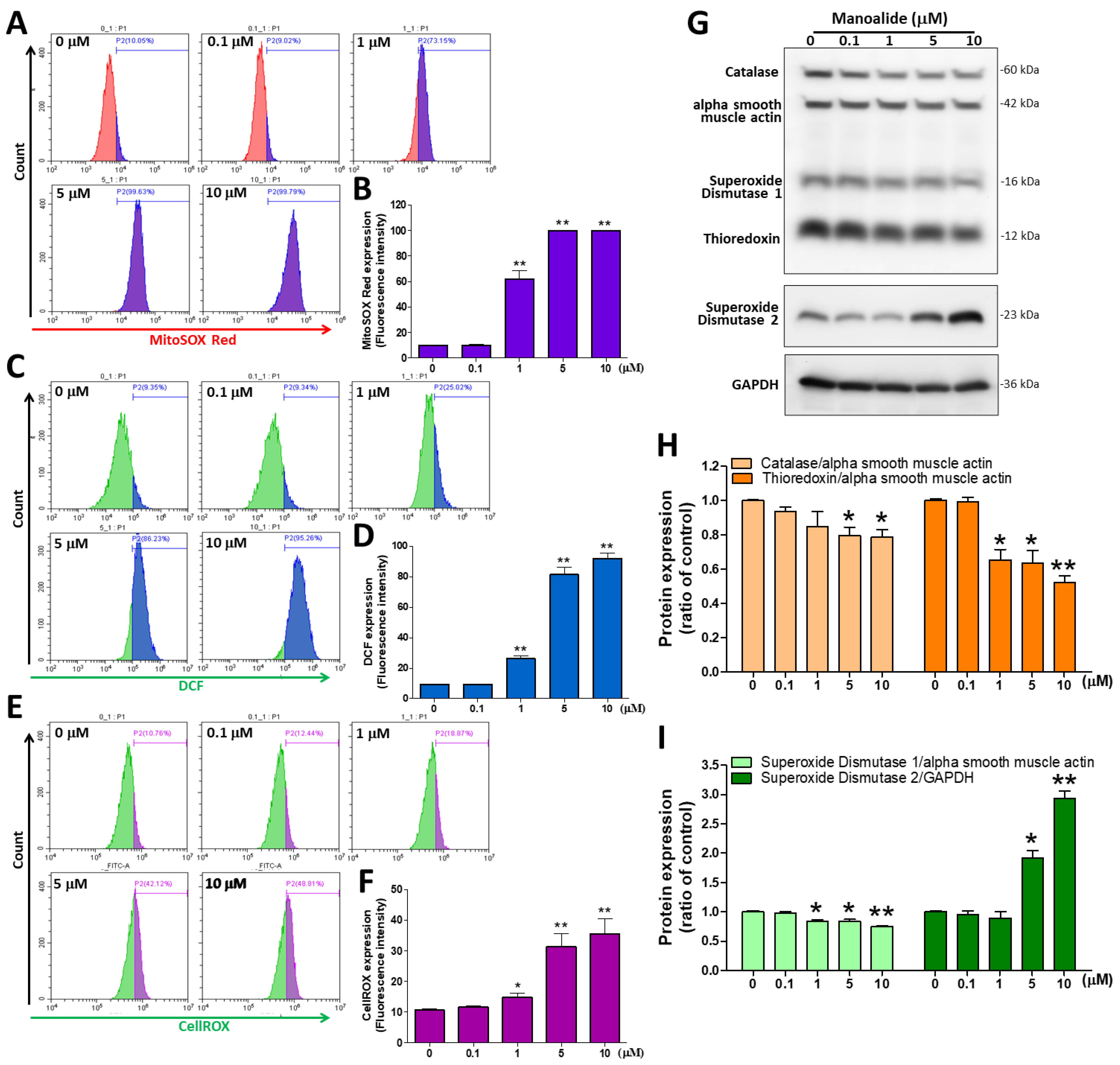 Antioxidants 12 01422 g002