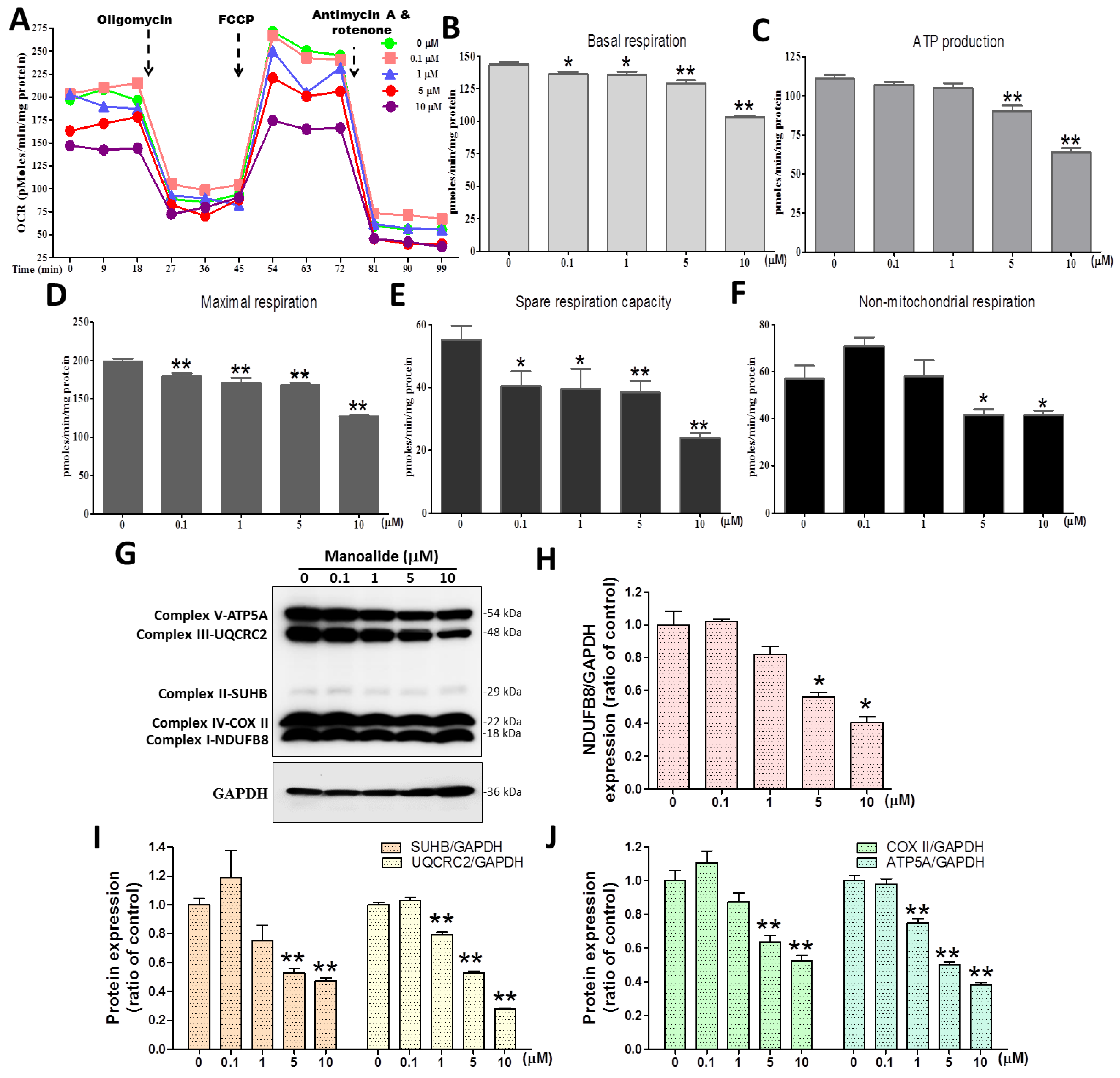 Antioxidants 12 01422 g003