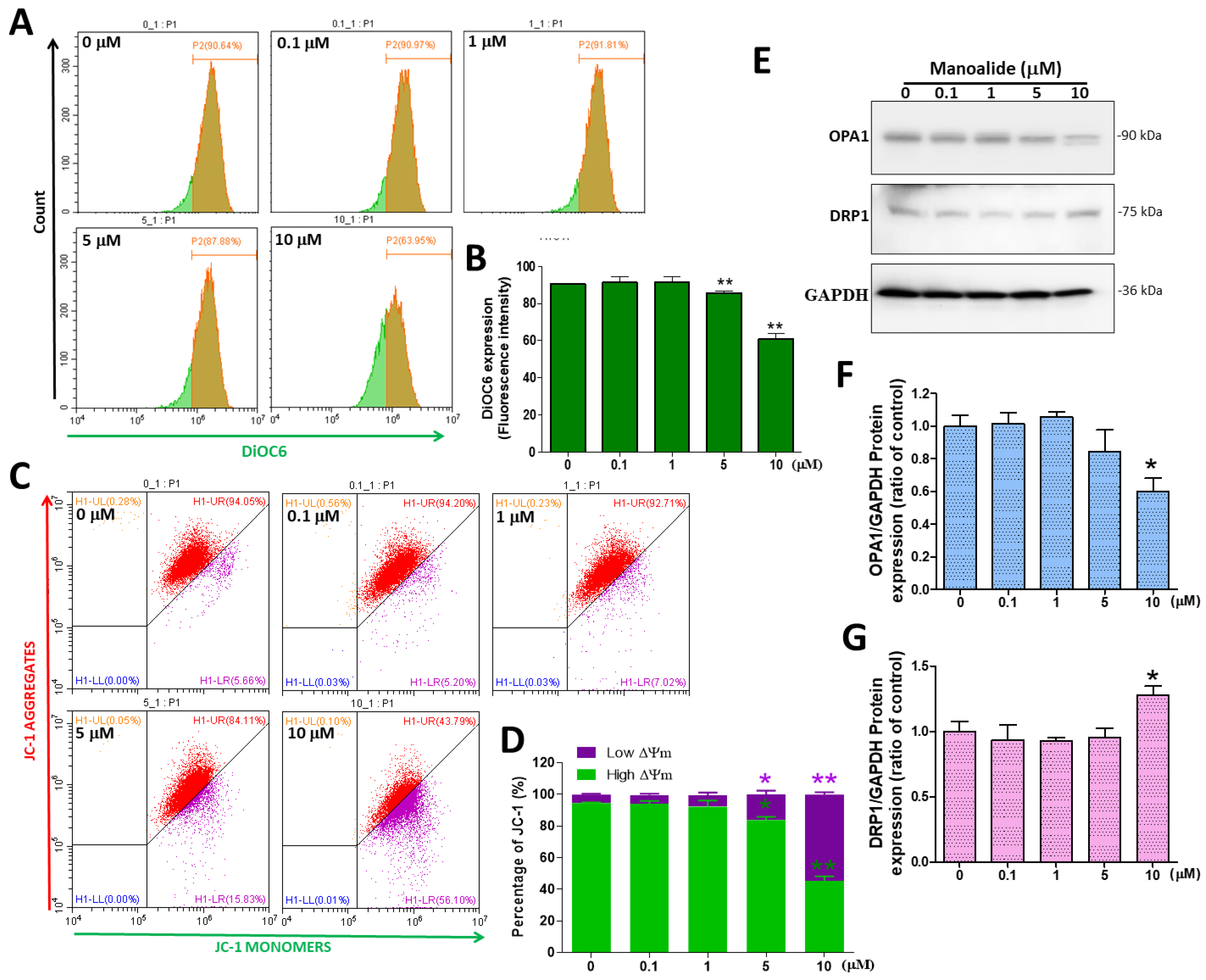 Antioxidants 12 01422 g004