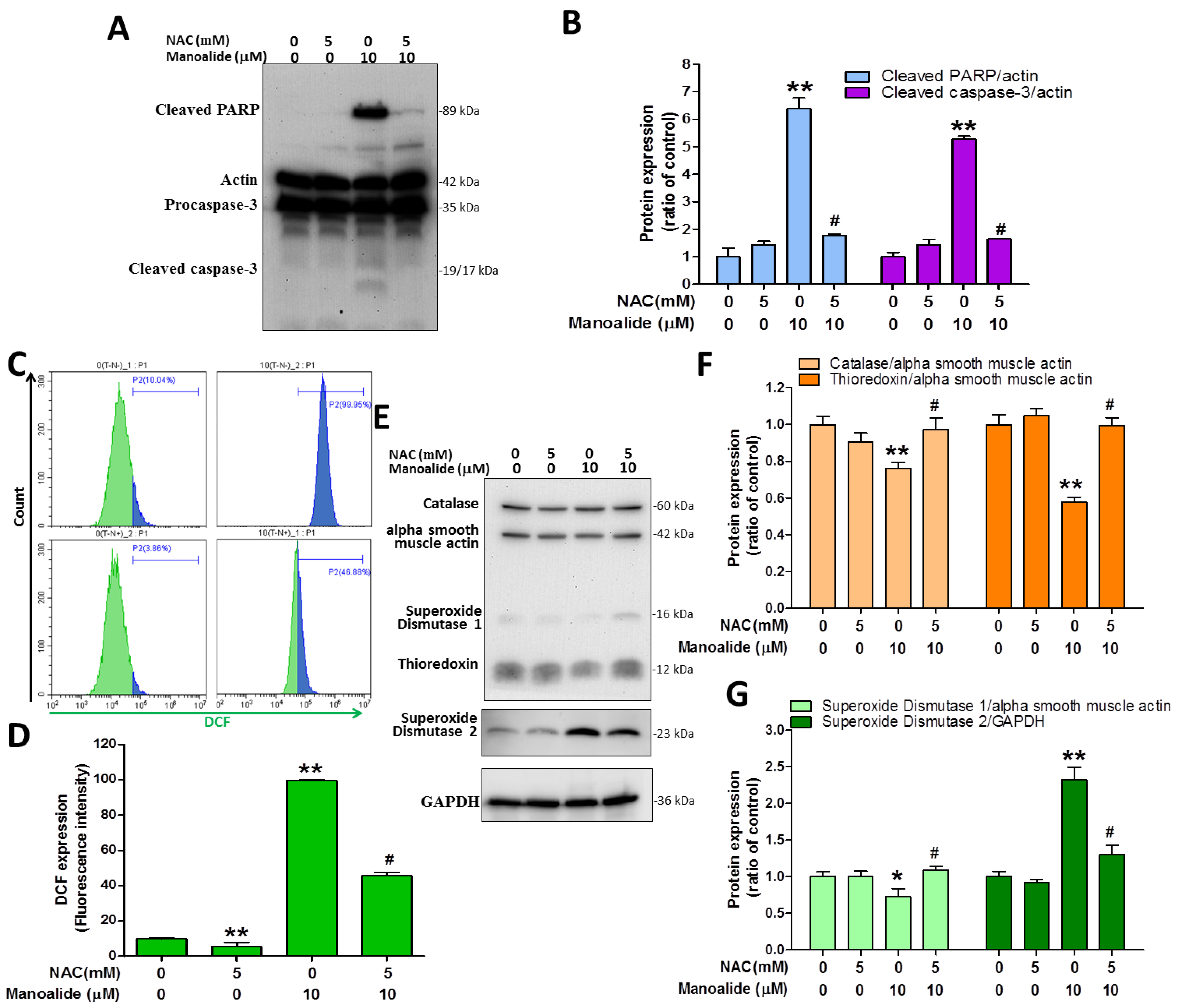 Antioxidants 12 01422 g005