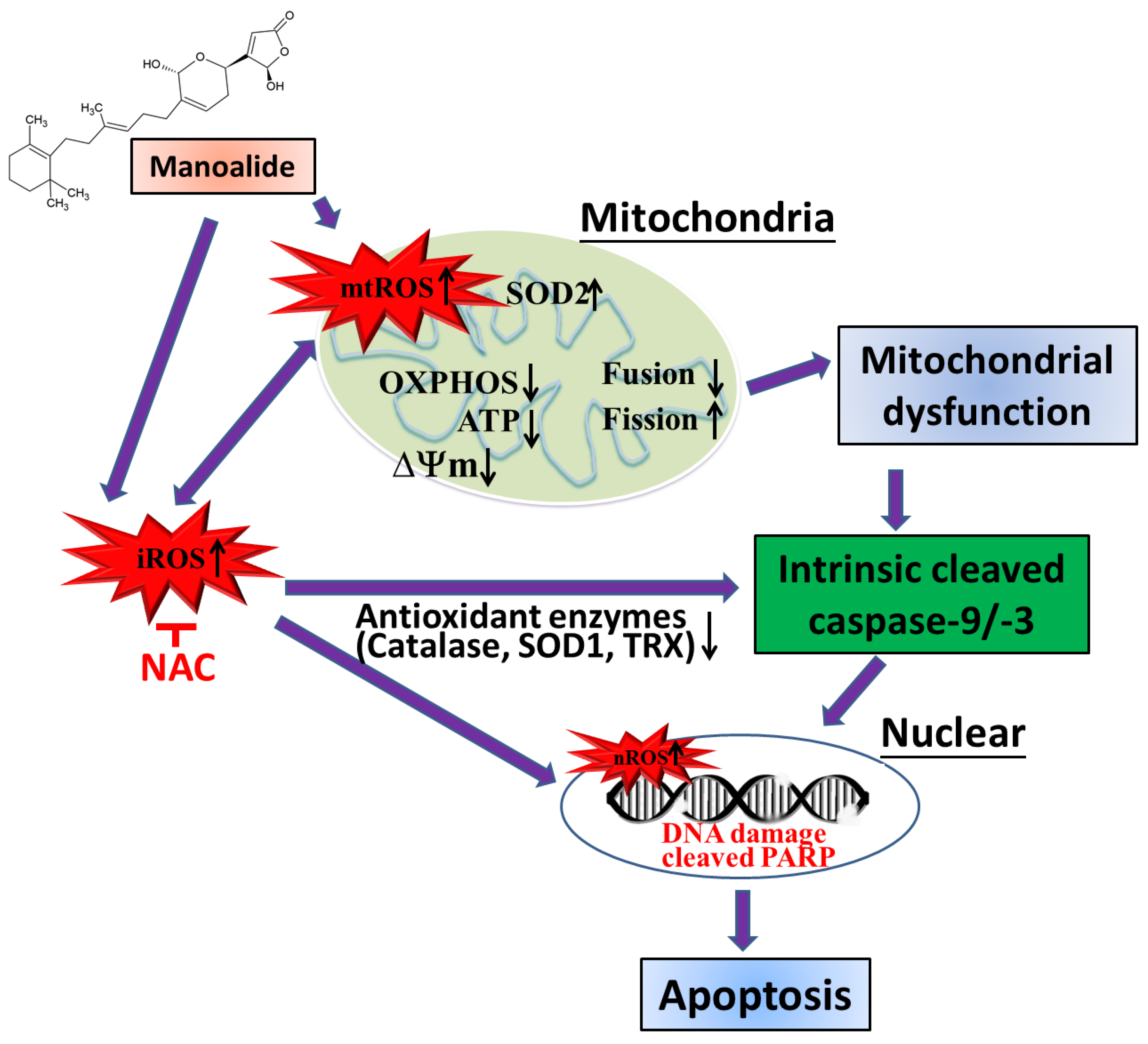Antioxidants 12 01422 g006