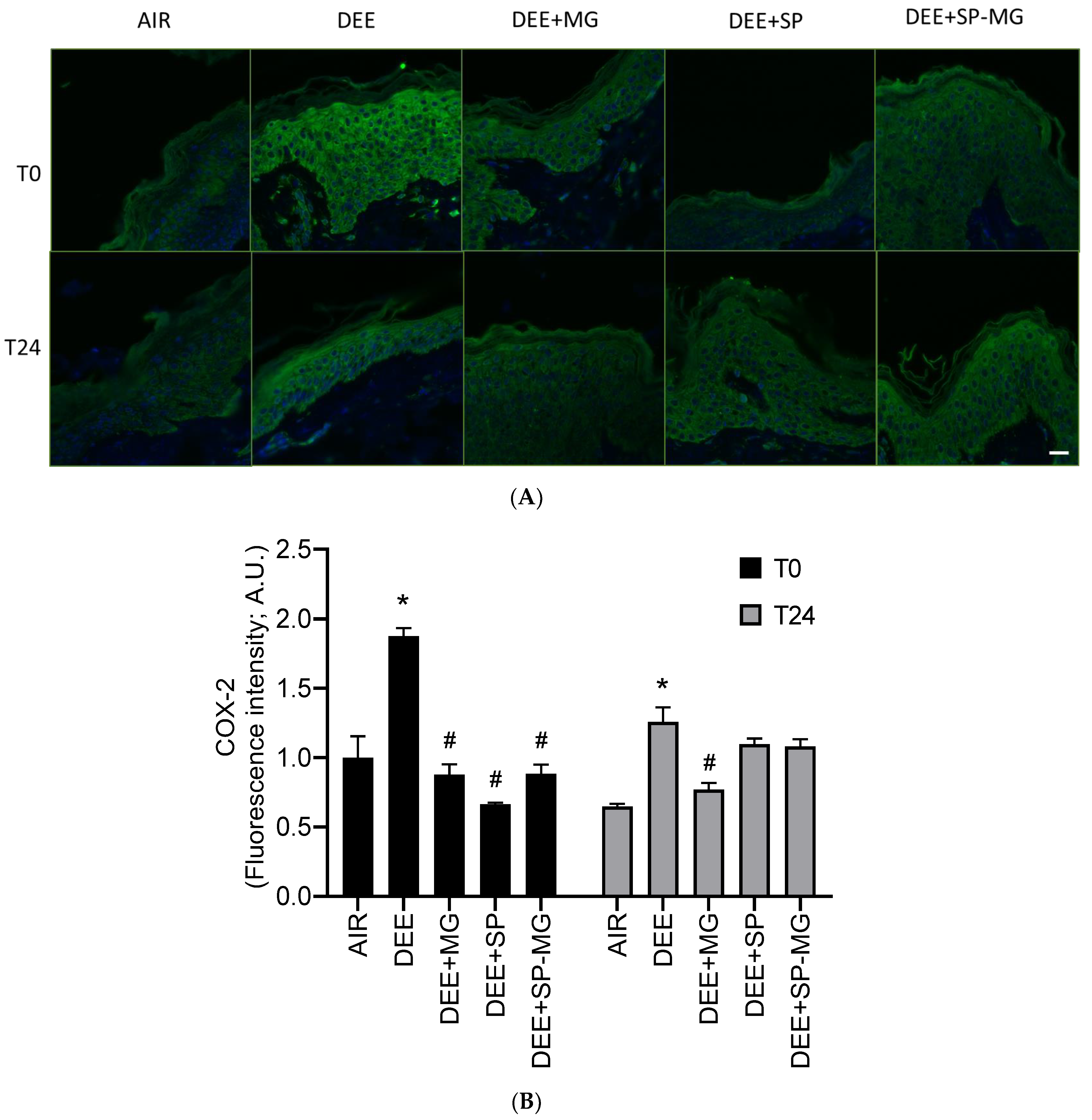 Antioxidants 12 01431 g005