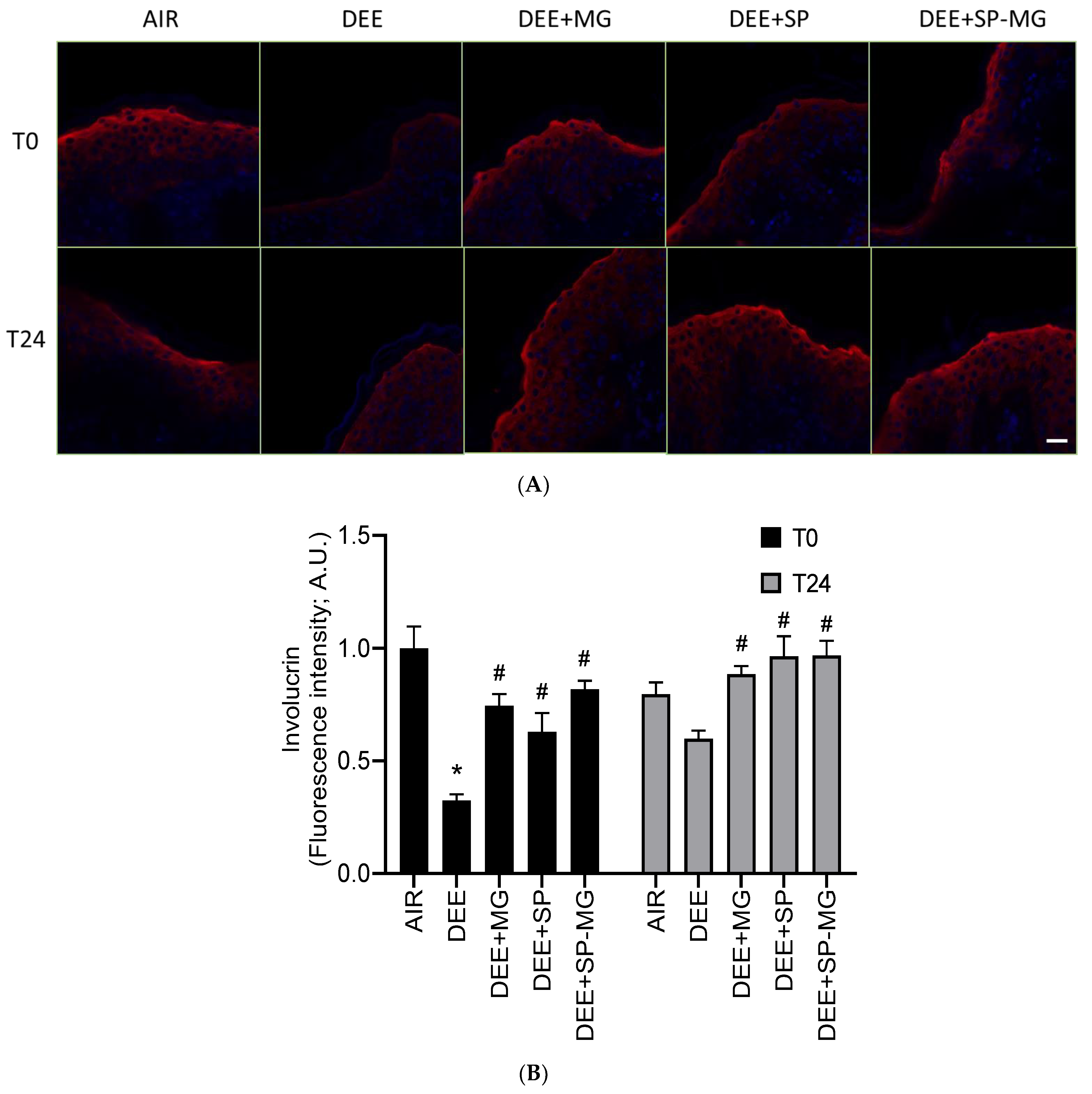 Antioxidants 12 01431 g006