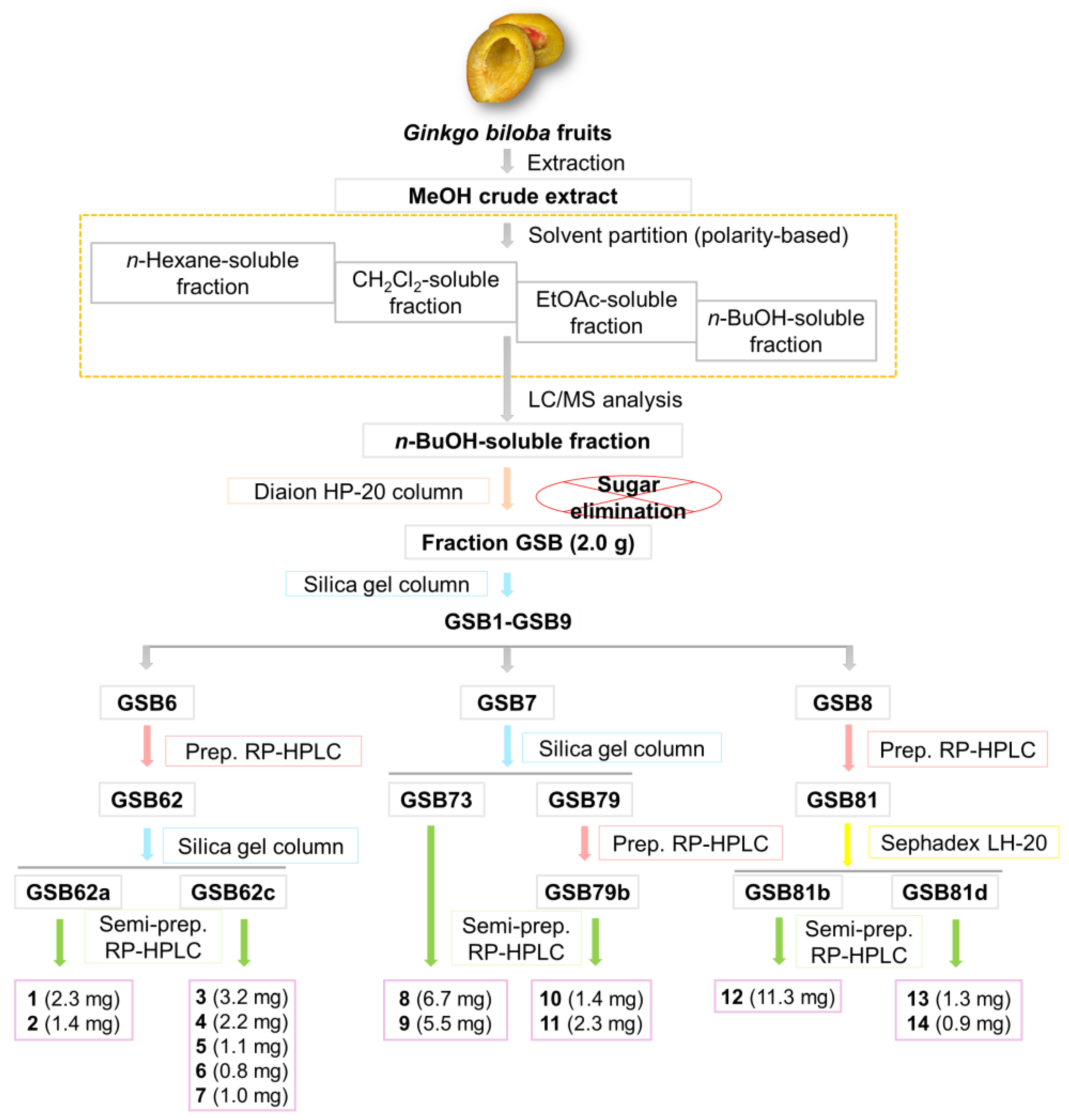 Antioxidants 12 01432 g001 Antioxidants 12 01432 g001