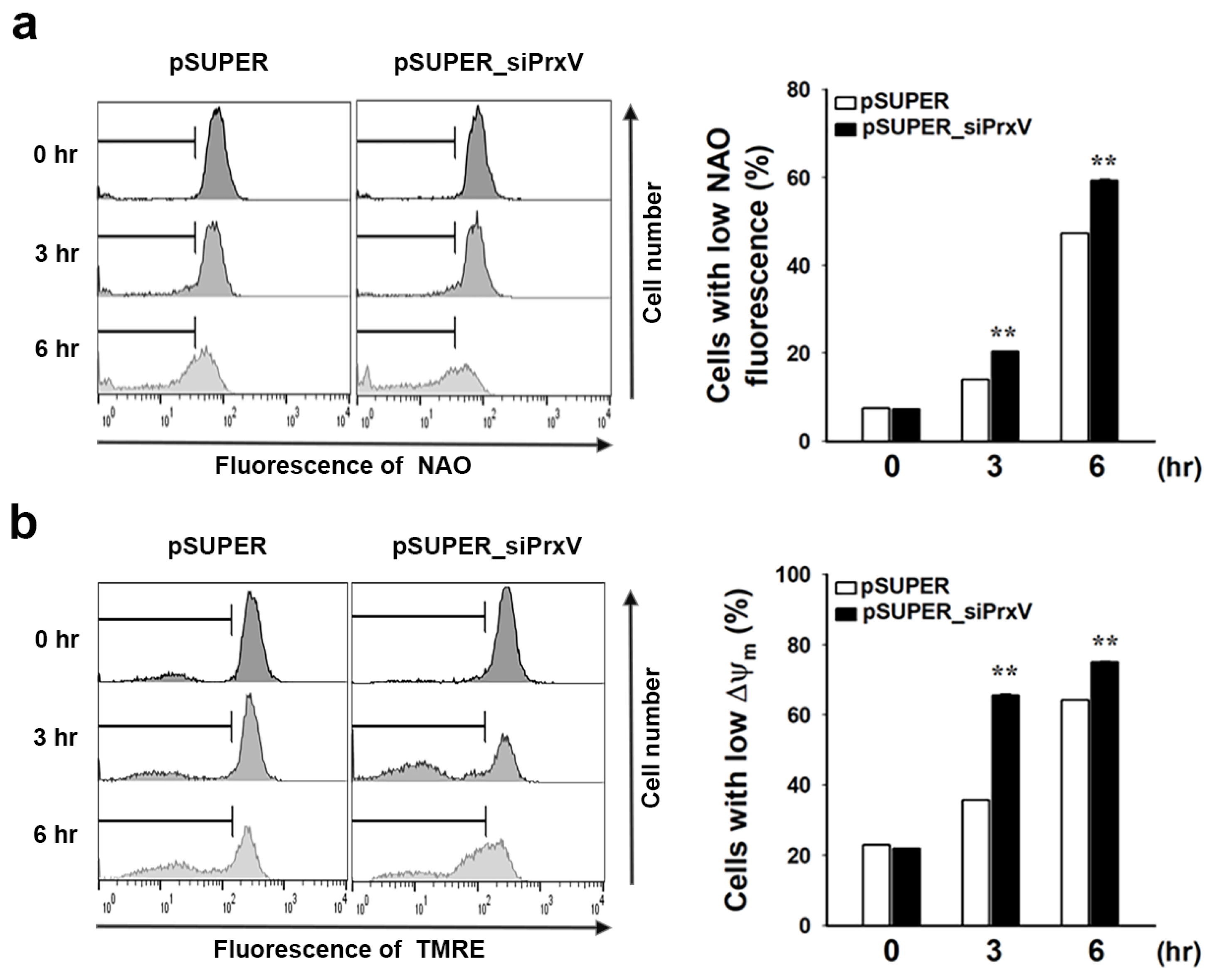 Antioxidants 12 01435 g002