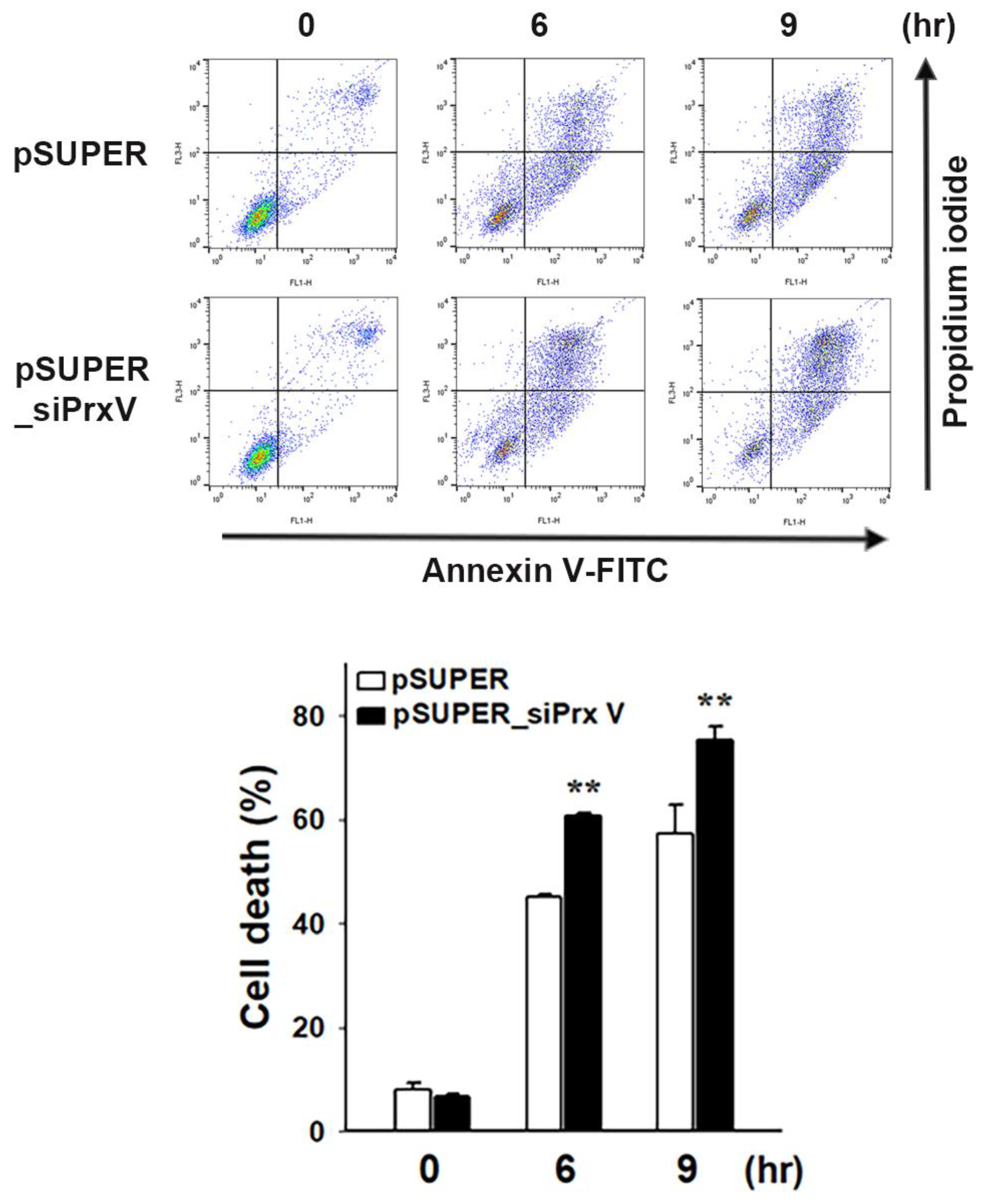 Antioxidants 12 01435 g005
