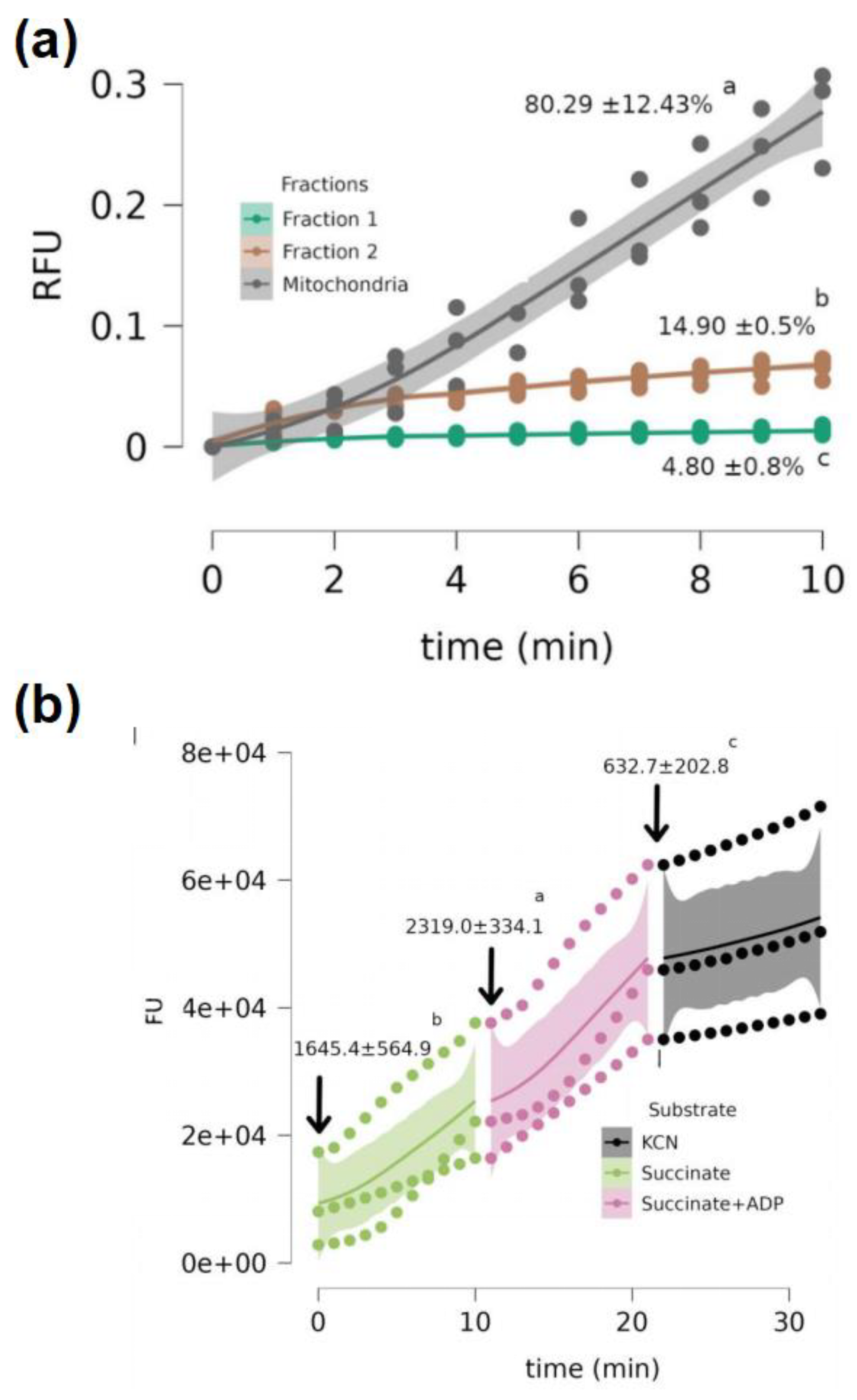 Antioxidants 12 01439 g002