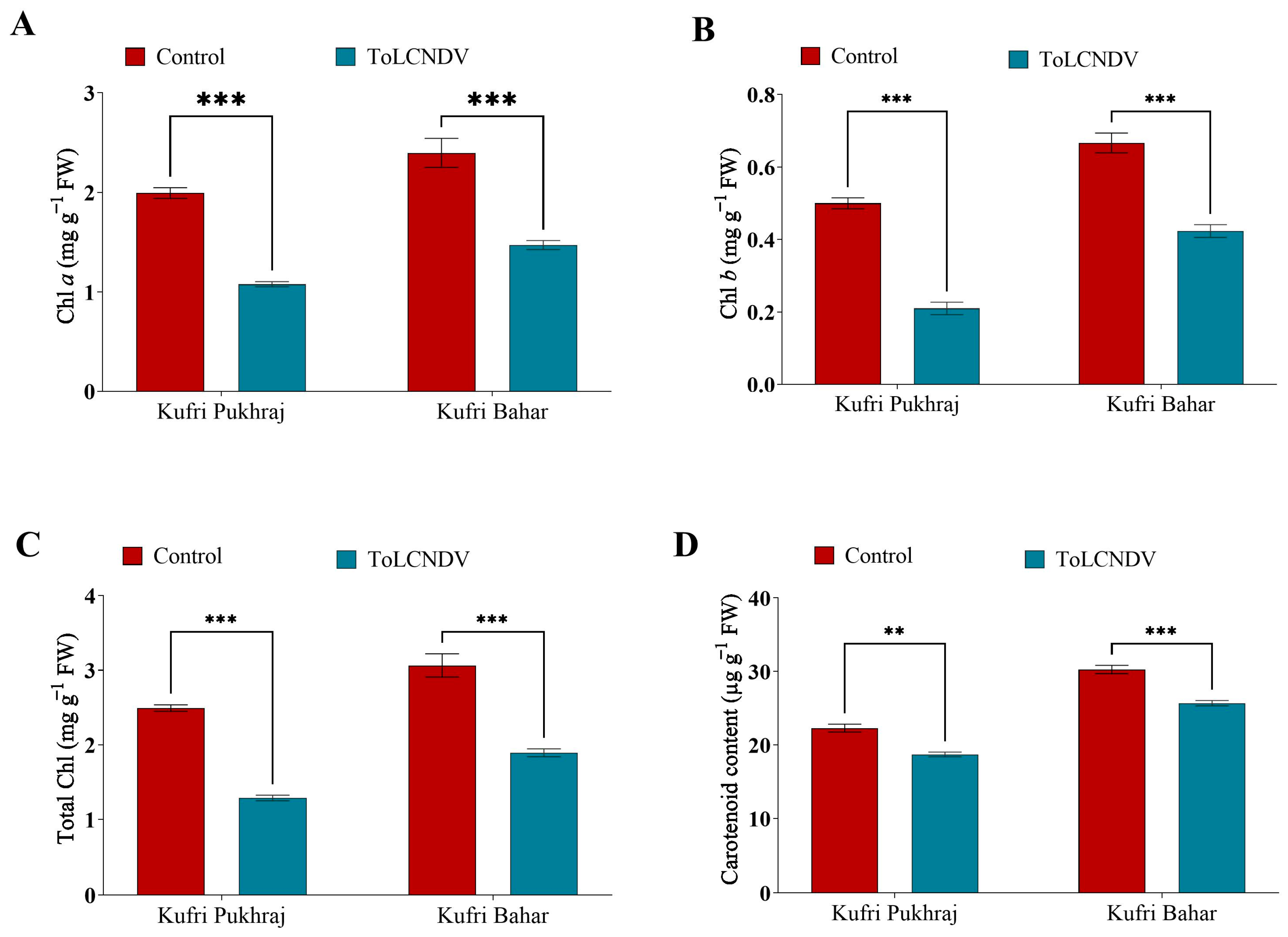 Antioxidants 12 01447 g002 Antioxidants 12 01447 g002