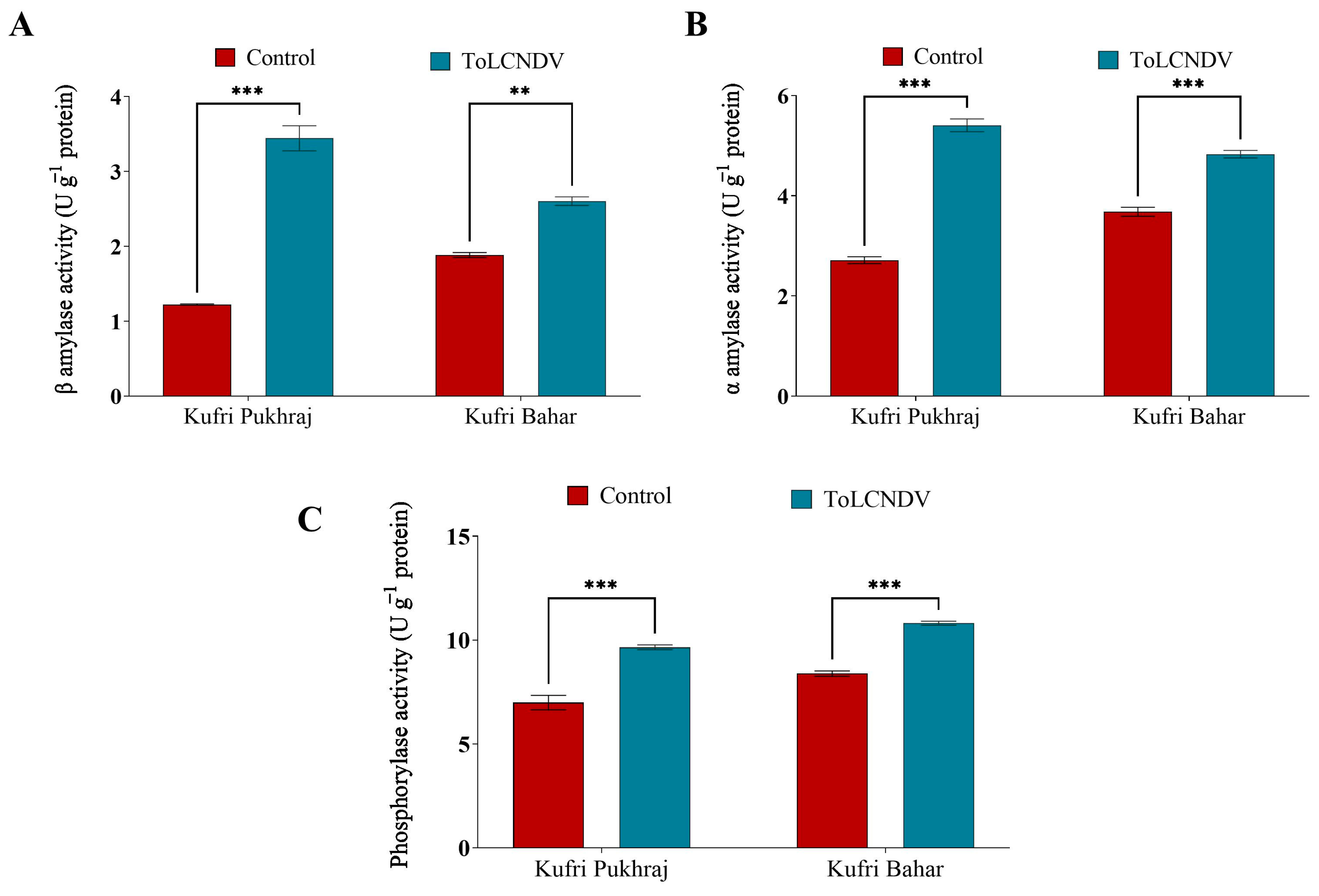 Antioxidants 12 01447 g005 Antioxidants 12 01447 g005