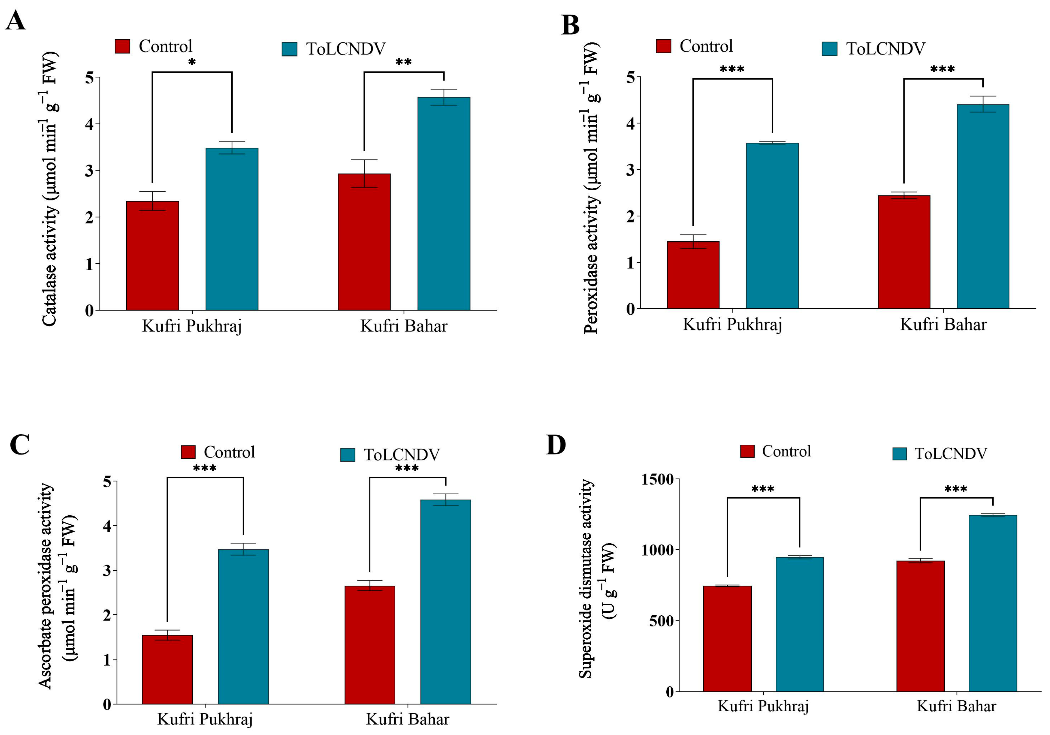 Antioxidants 12 01447 g006 Antioxidants 12 01447 g006