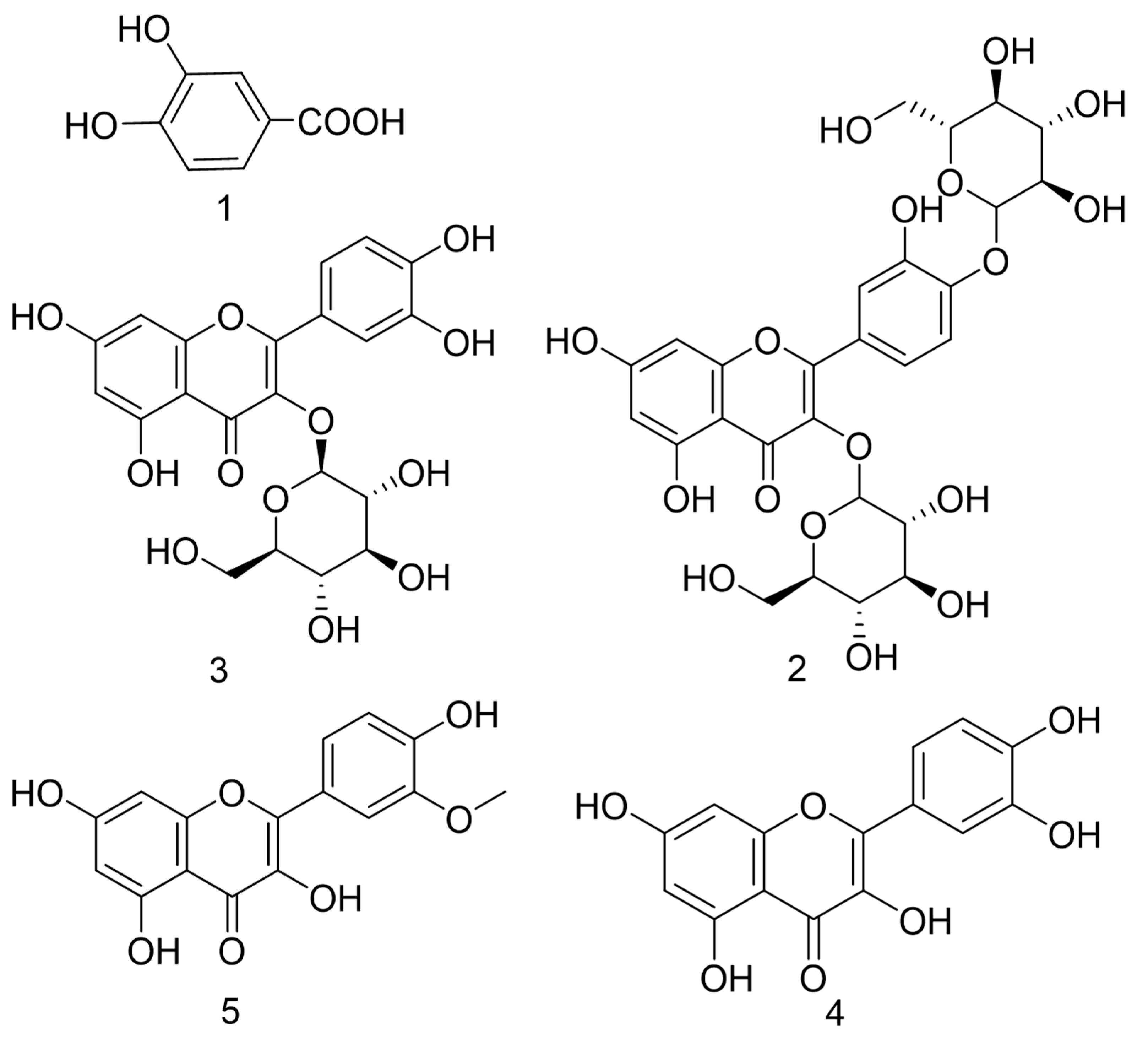 Antioxidants 12 01448 g015
