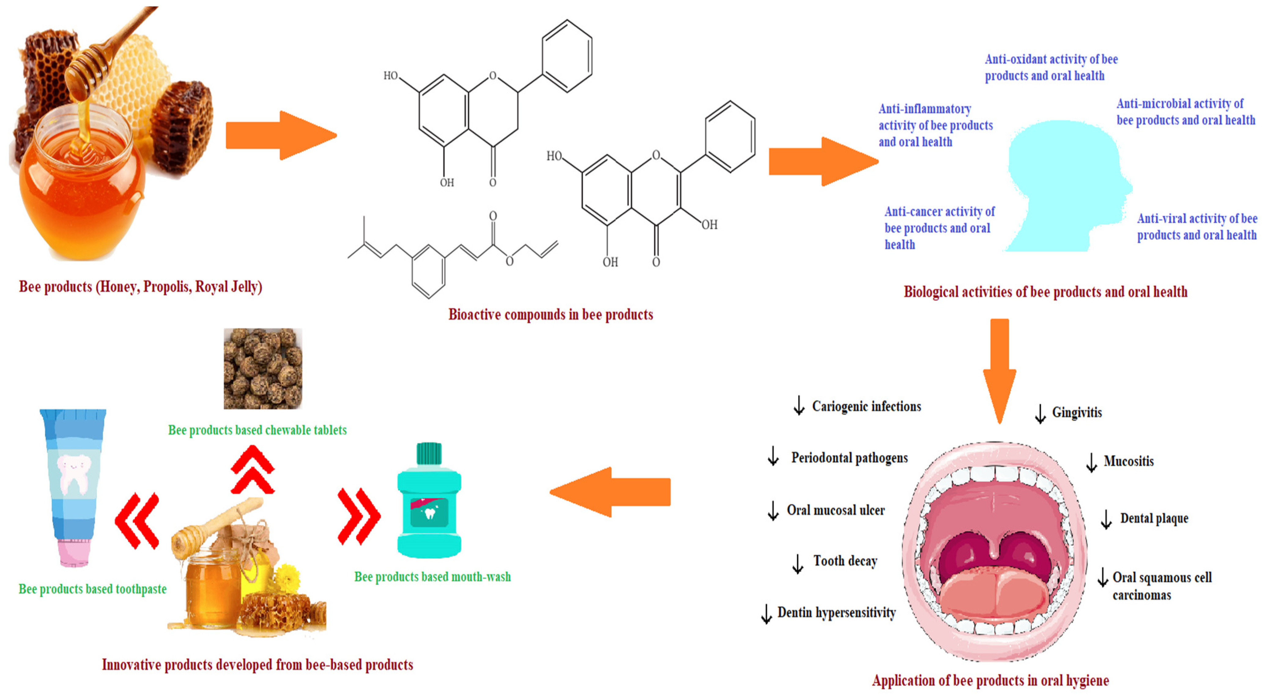 Antioxidants 12 01452 g001