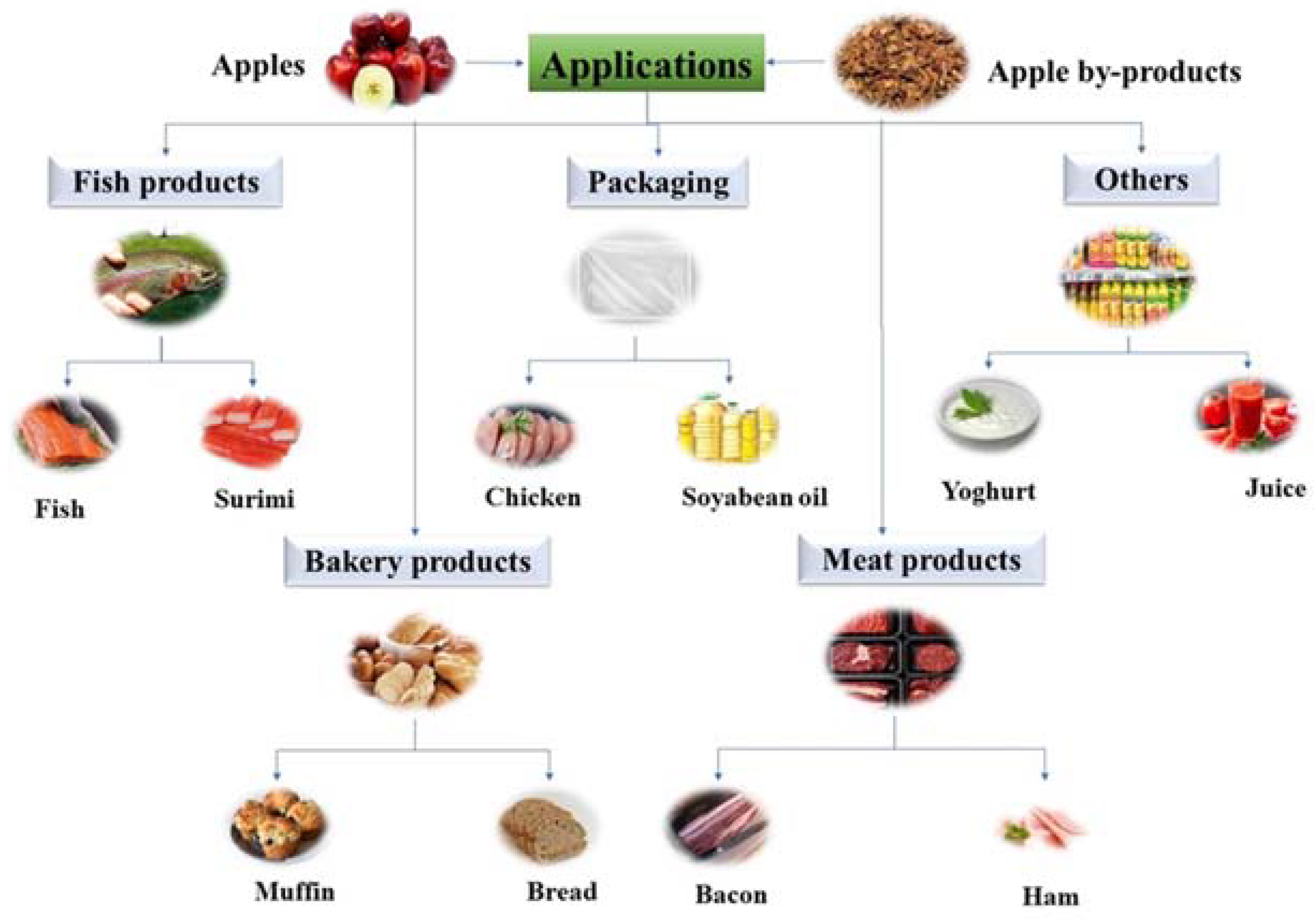 Antioxidants 12 01456 g004 Antioxidants 12 01456 g004