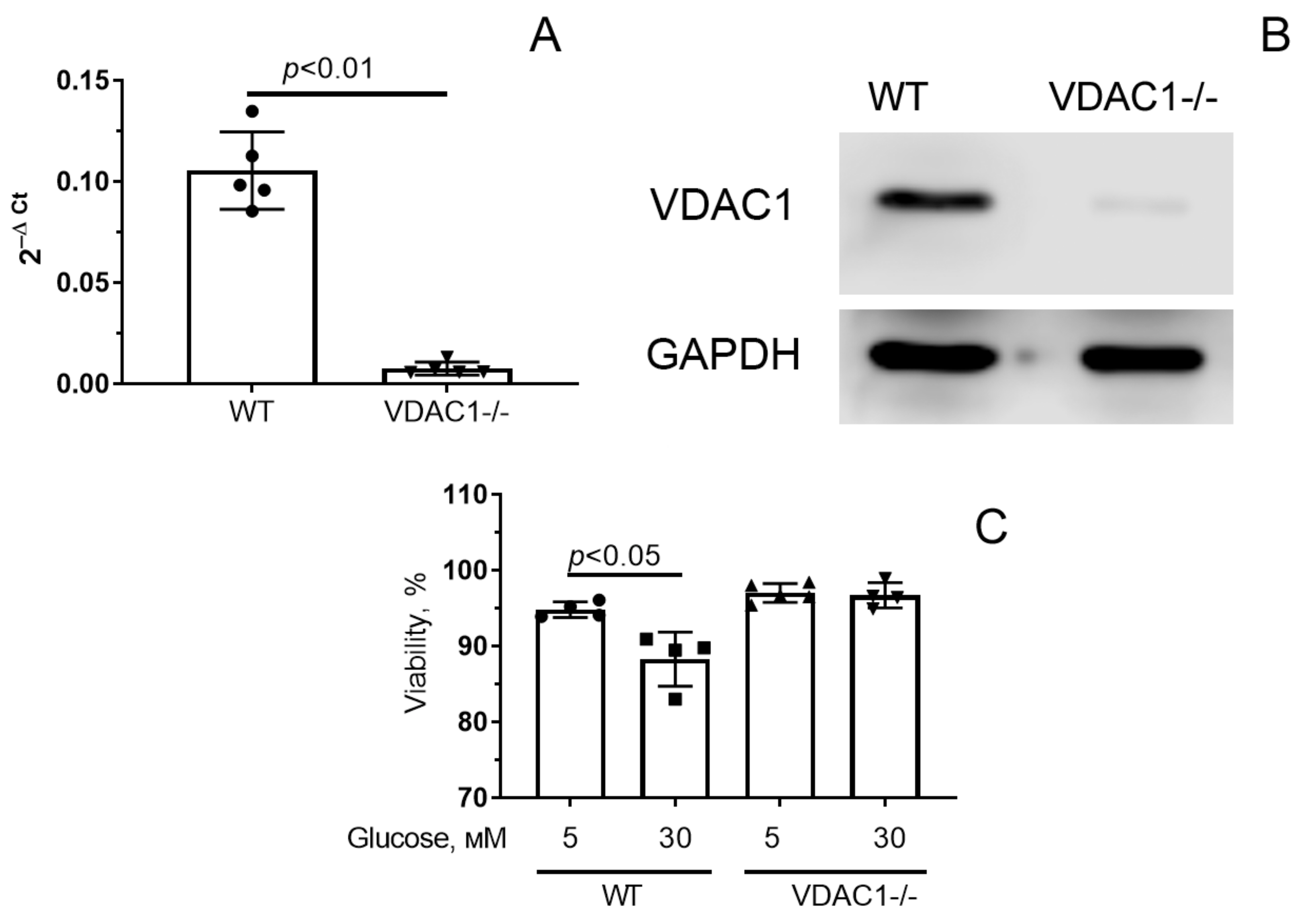 Antioxidants 12 01459 g005