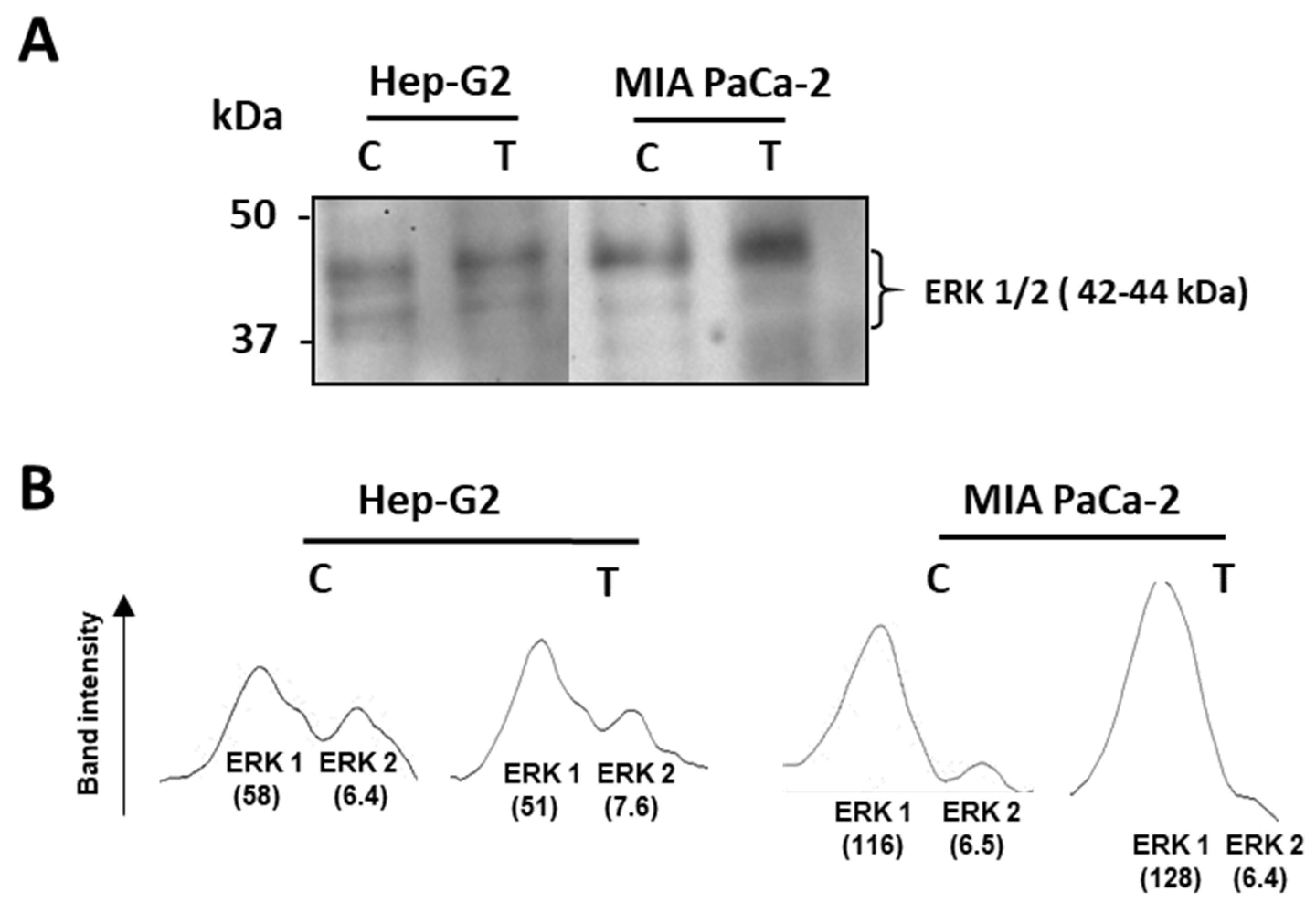 Antioxidants 12 01461 g004
