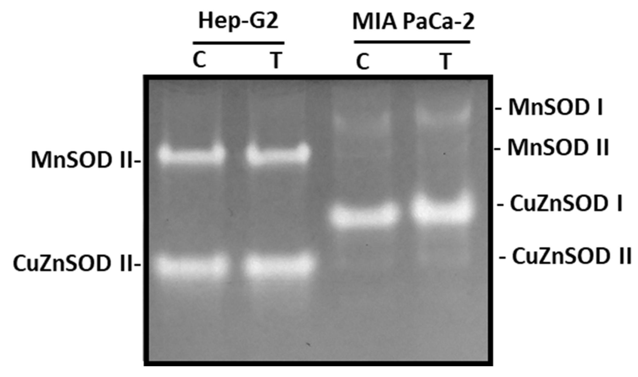 Antioxidants 12 01461 g008