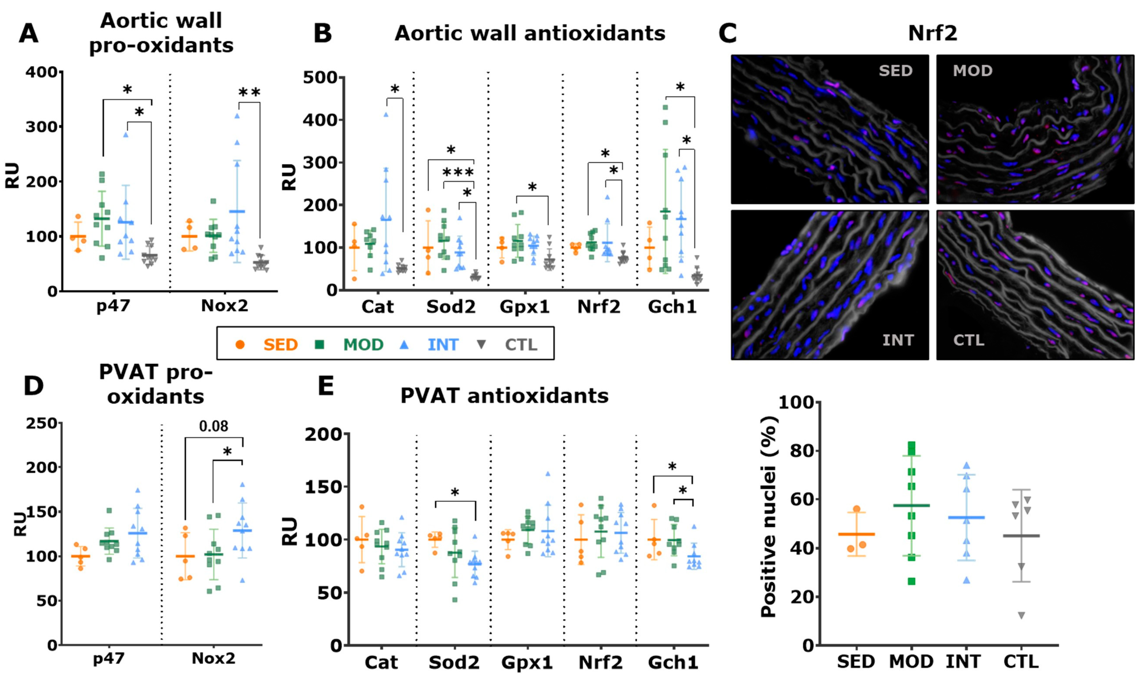 Antioxidants 12 01462 g006
