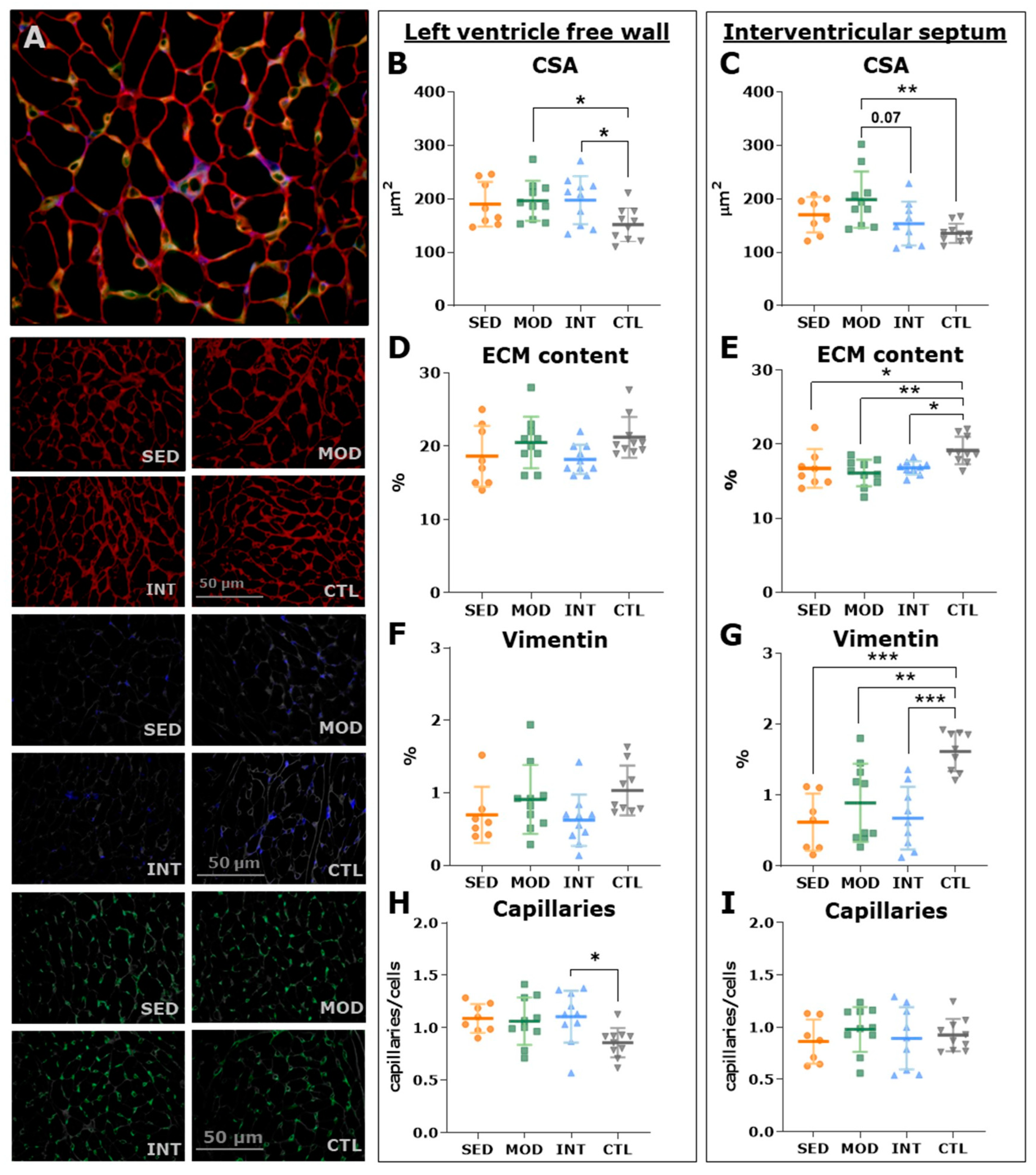 Antioxidants 12 01462 g007