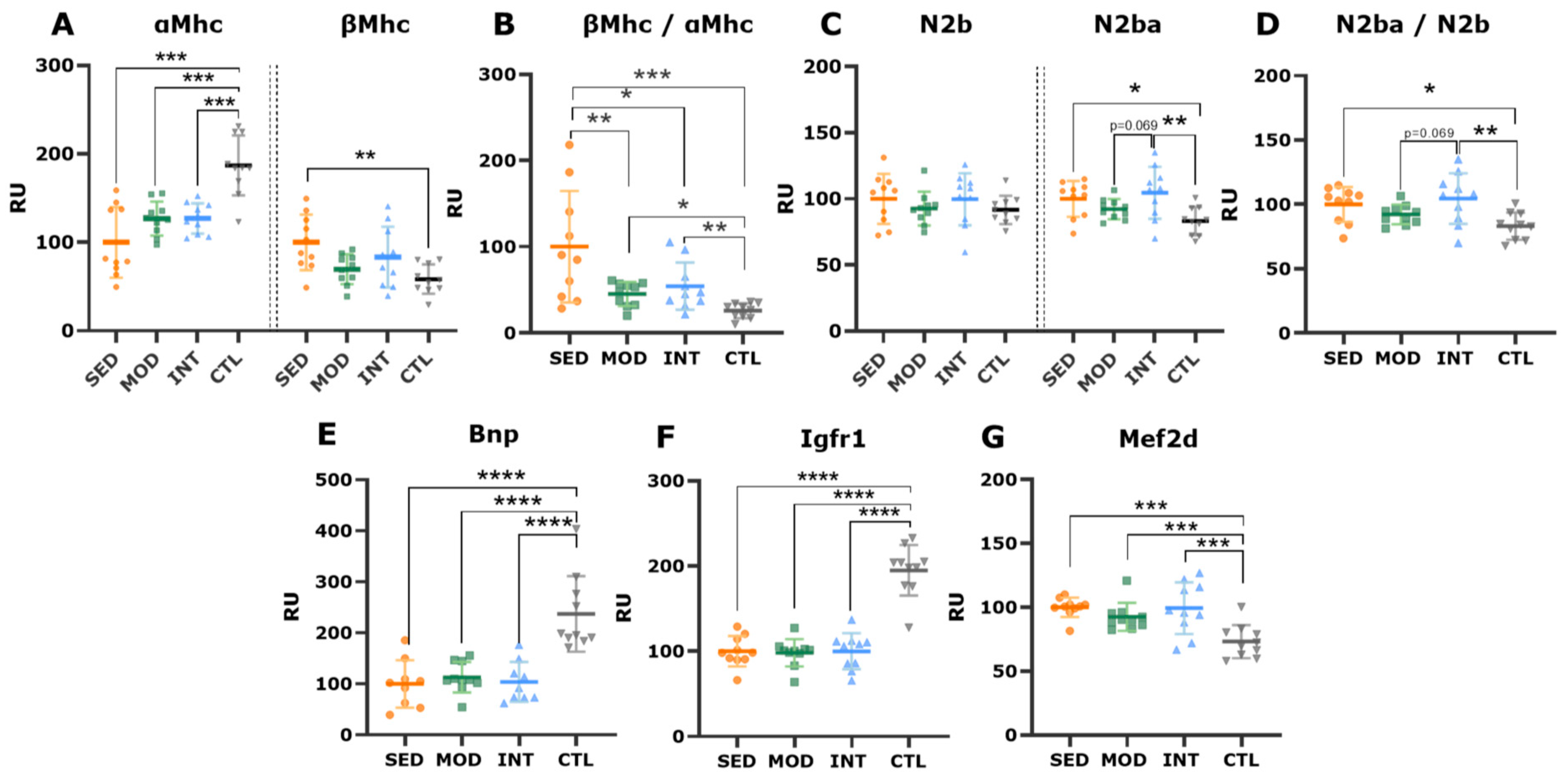 Antioxidants 12 01462 g008