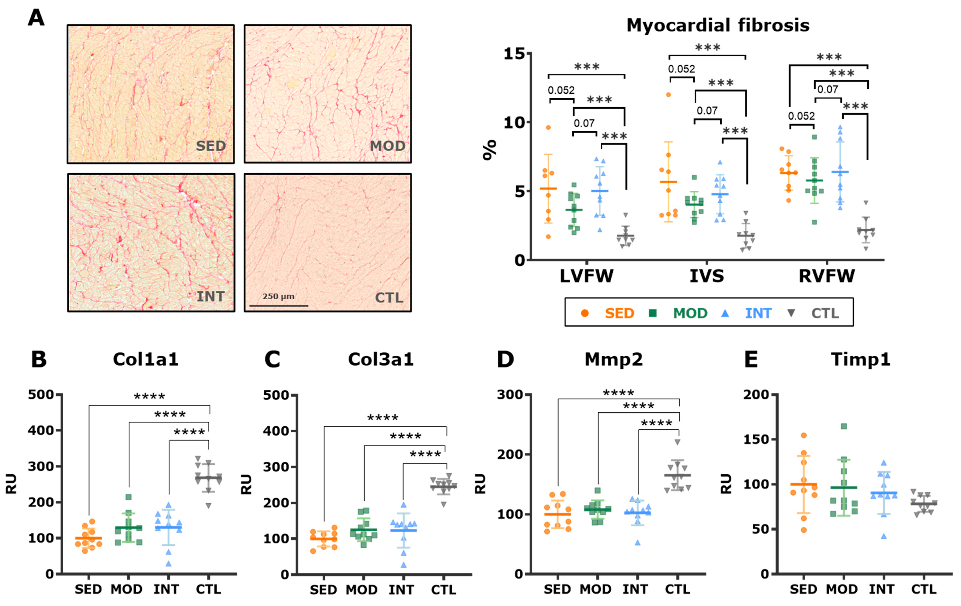 Antioxidants 12 01462 g009
