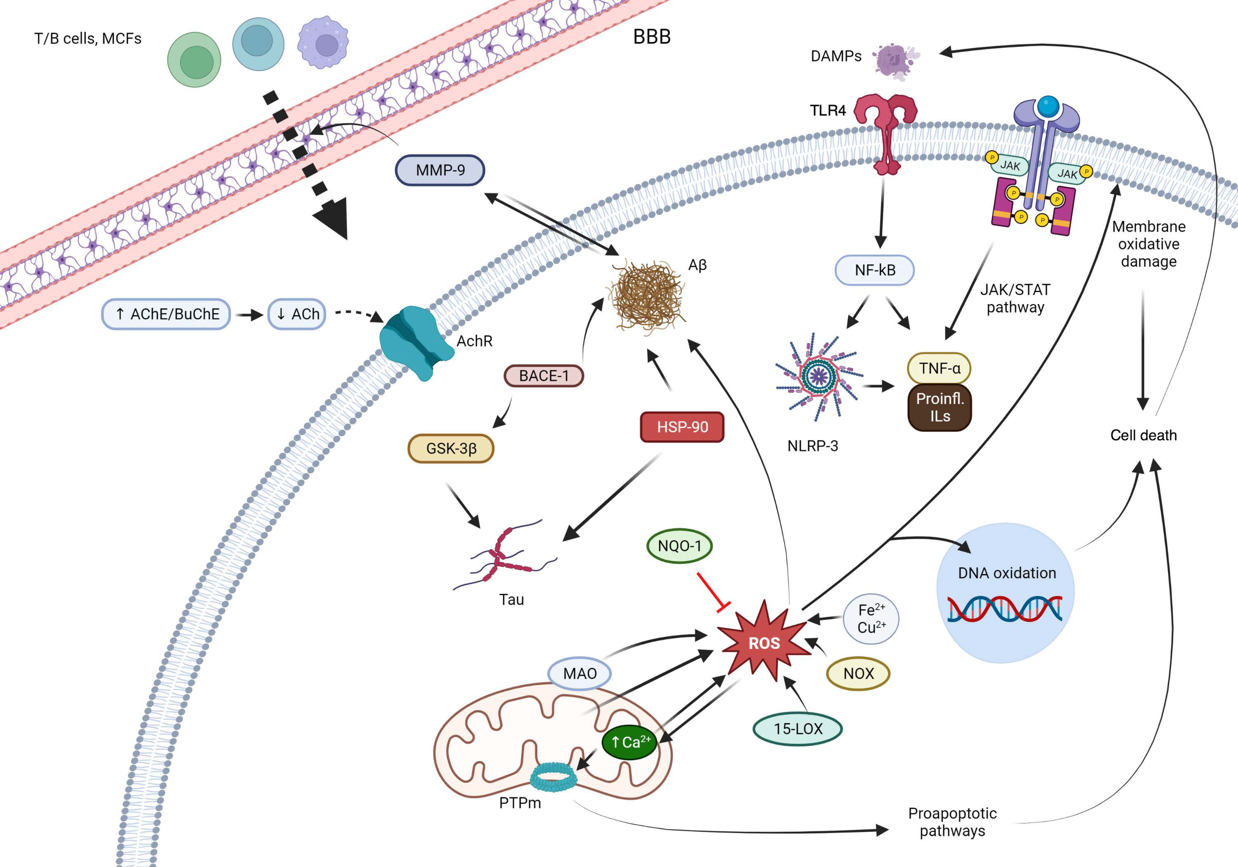 Antioxidants 12 01464 g001