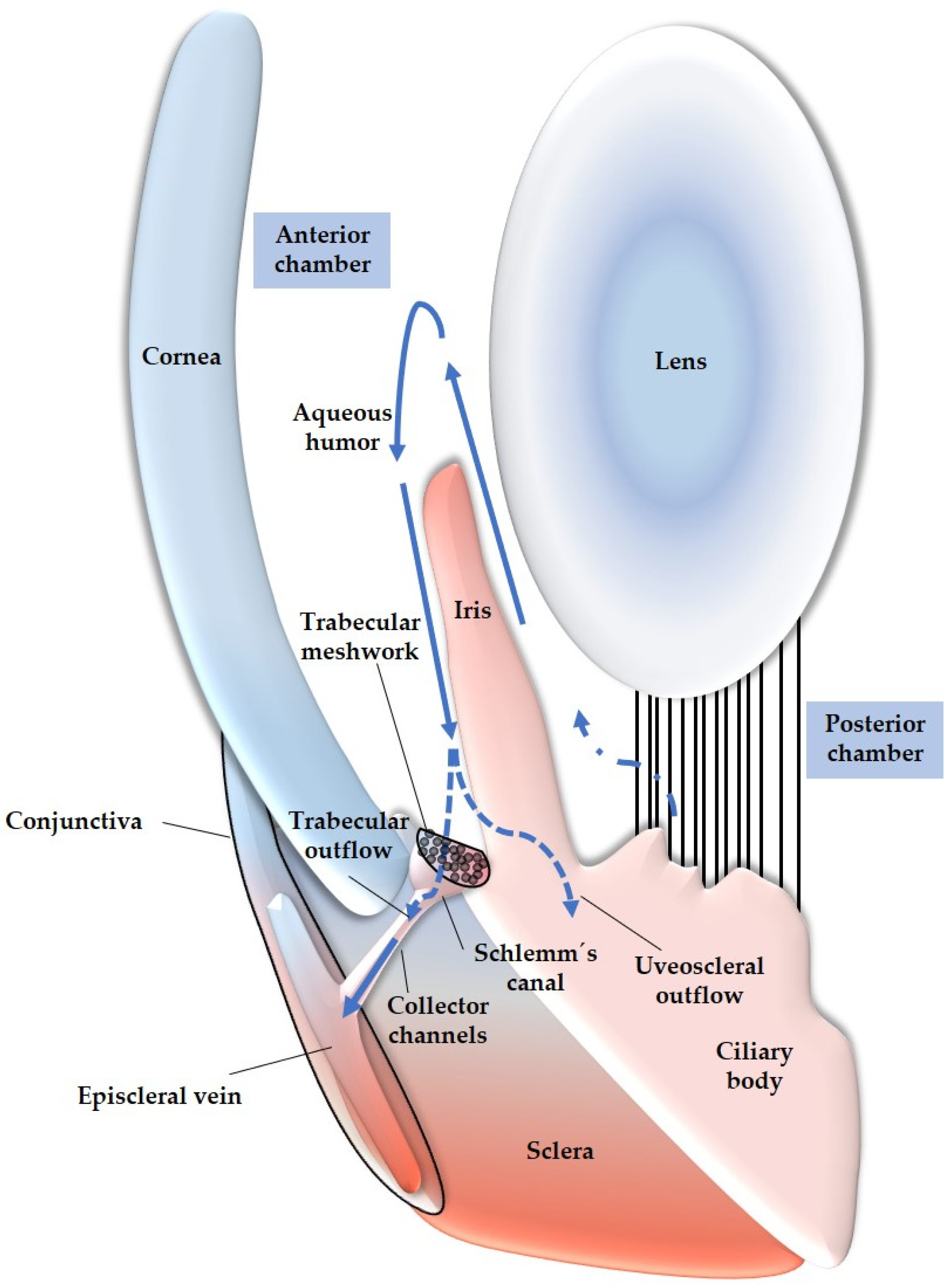 Antioxidants 12 01465 g004