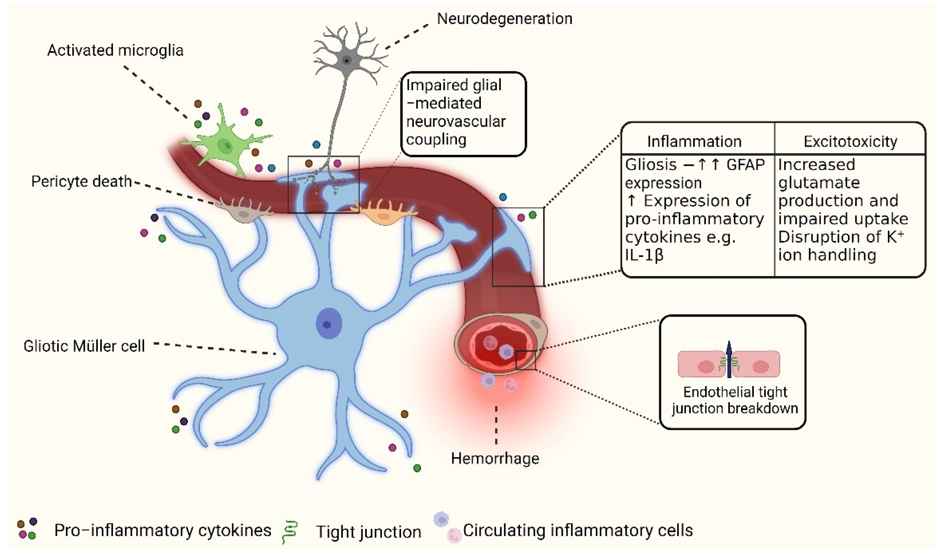 Antioxidants 12 01466 g001