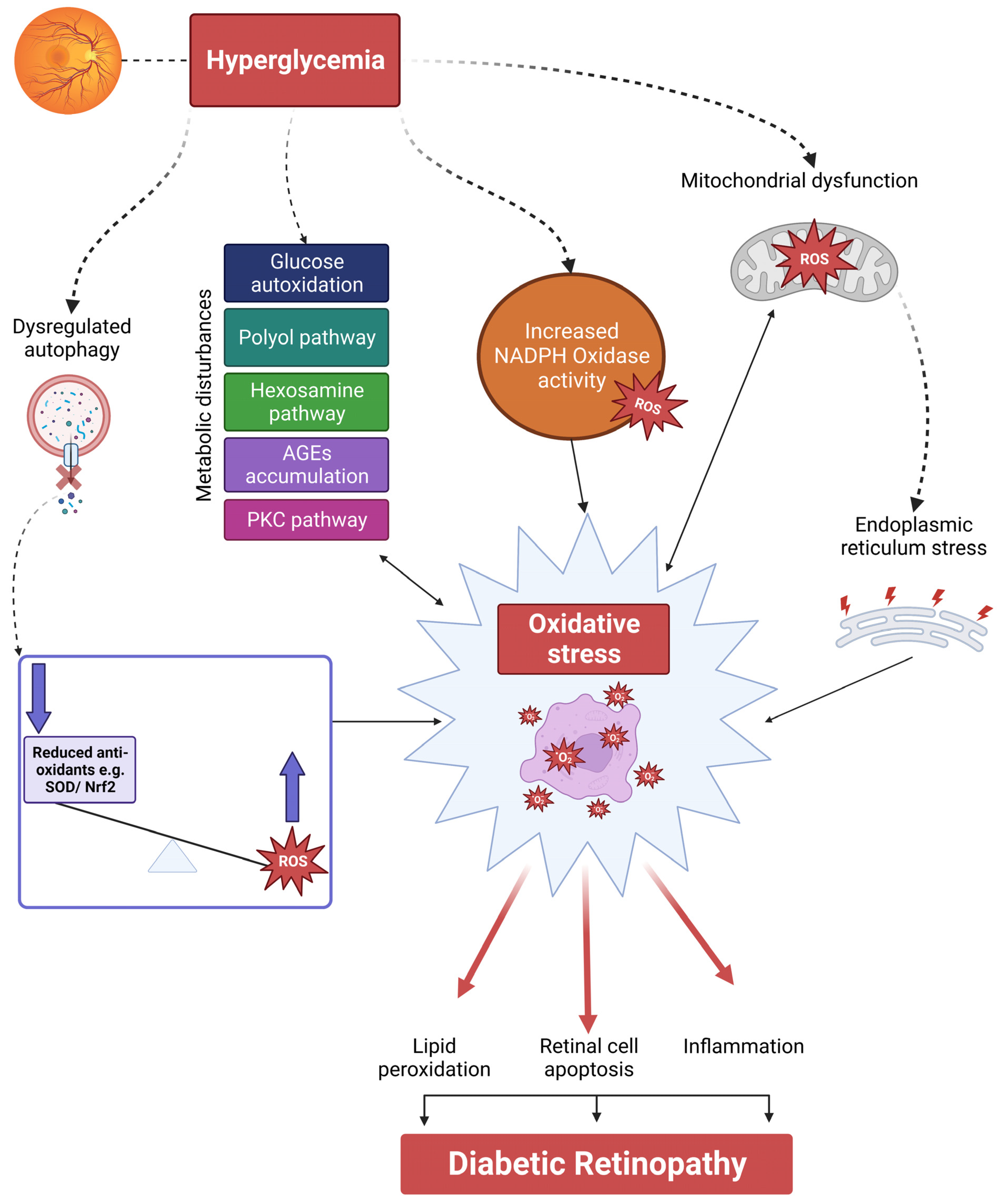 Antioxidants 12 01466 g002