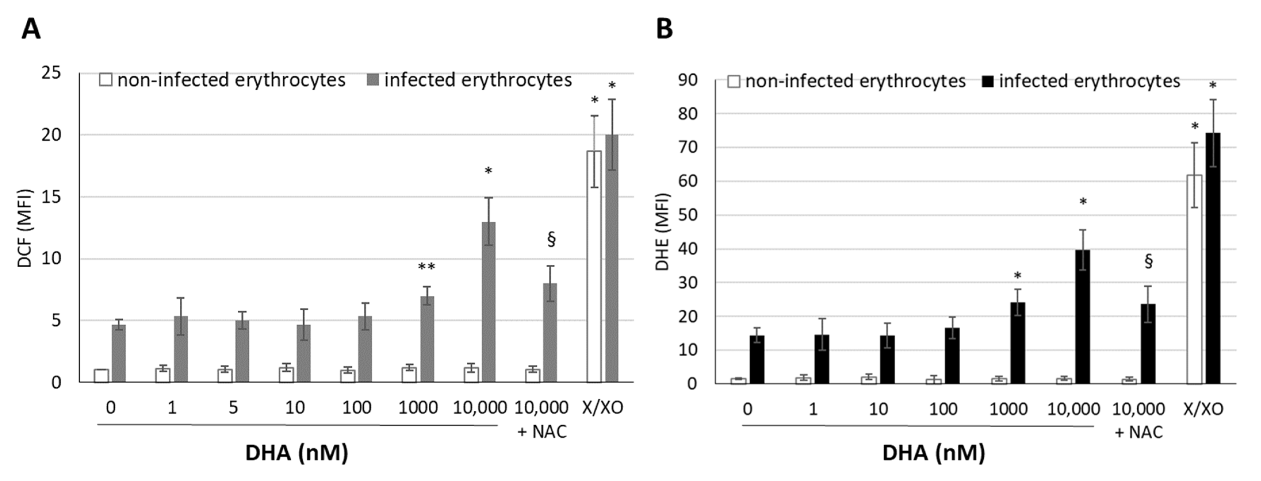 Antioxidants 12 01468 g004