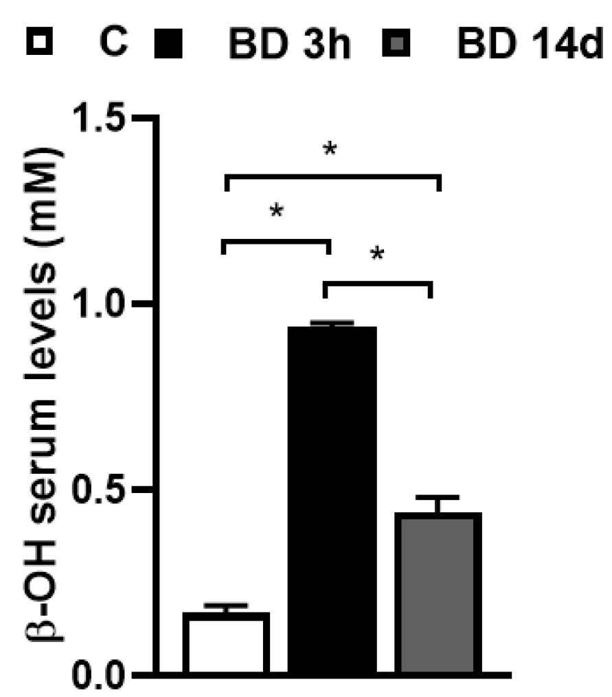 Antioxidants 12 01471 g001 Antioxidants 12 01471 g001