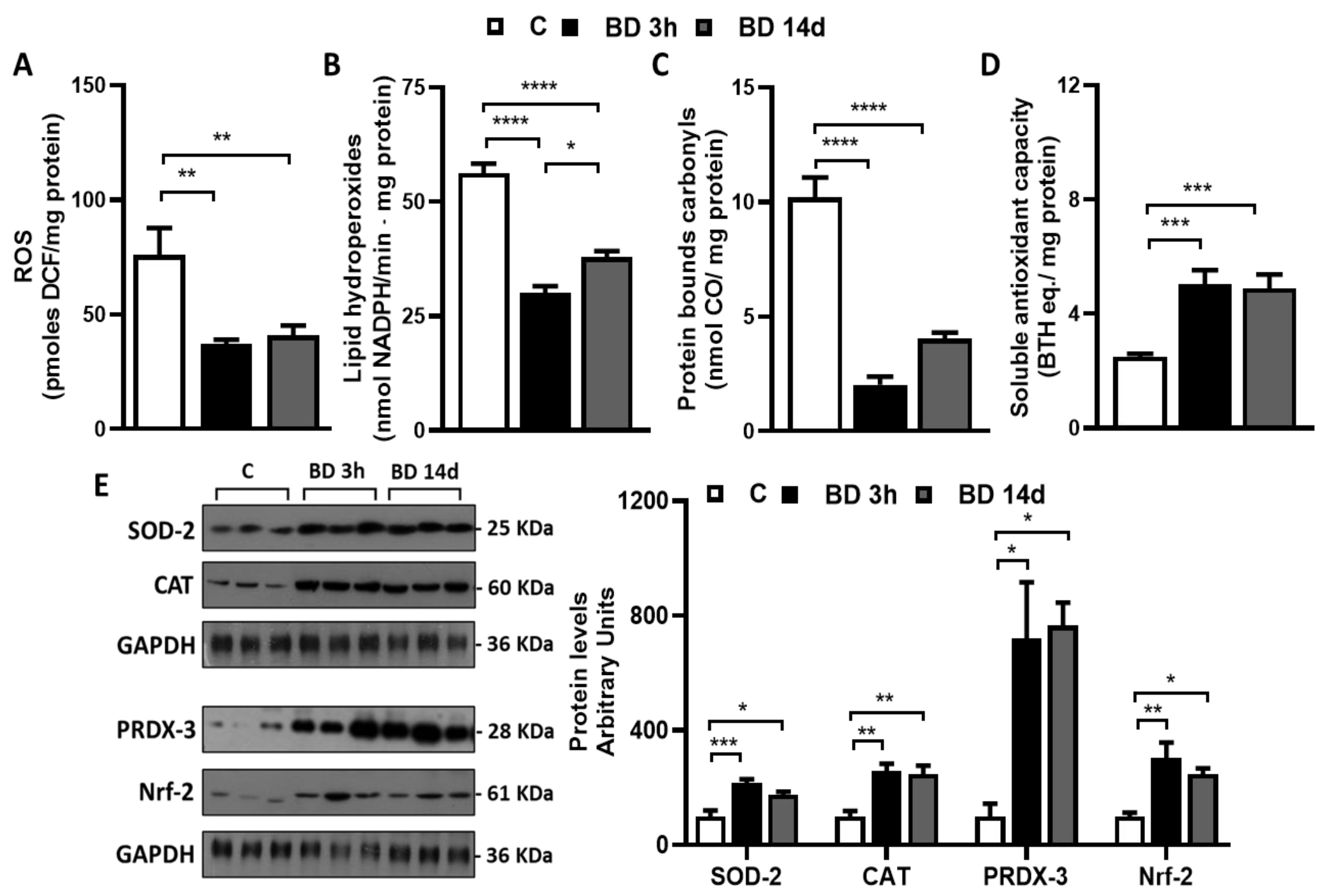 Antioxidants 12 01471 g003 Antioxidants 12 01471 g003