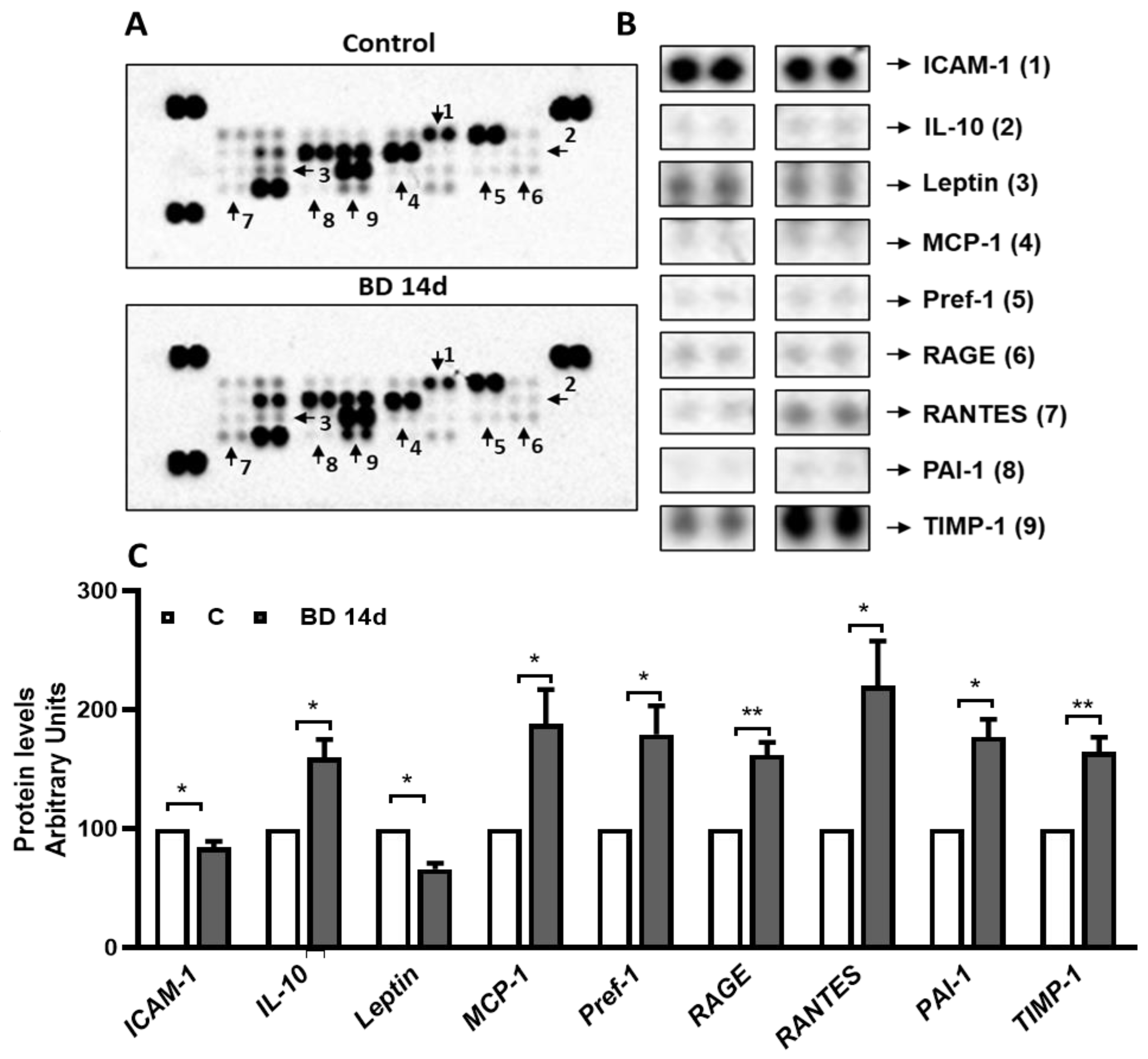 Antioxidants 12 01471 g006 Antioxidants 12 01471 g006