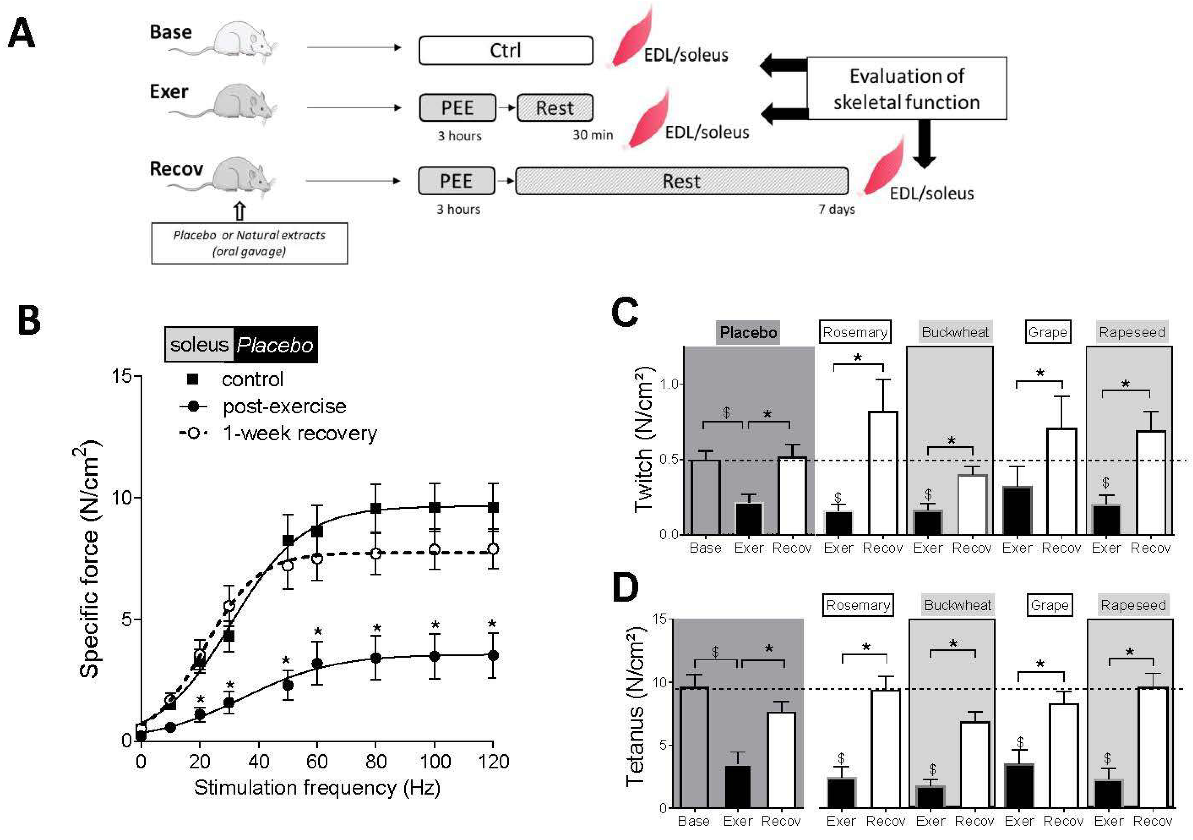 Antioxidants 12 01474 g001