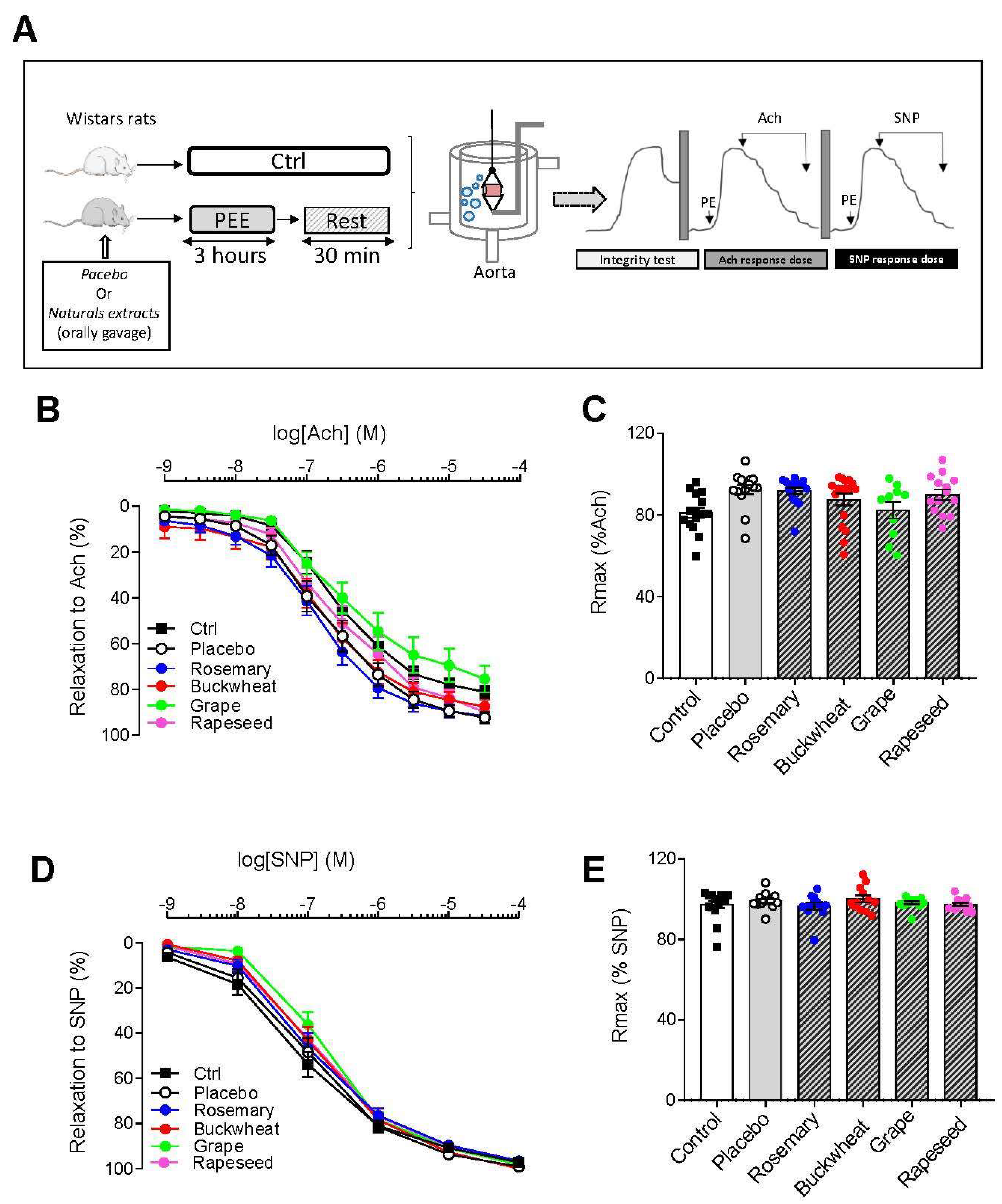 Antioxidants 12 01474 g003