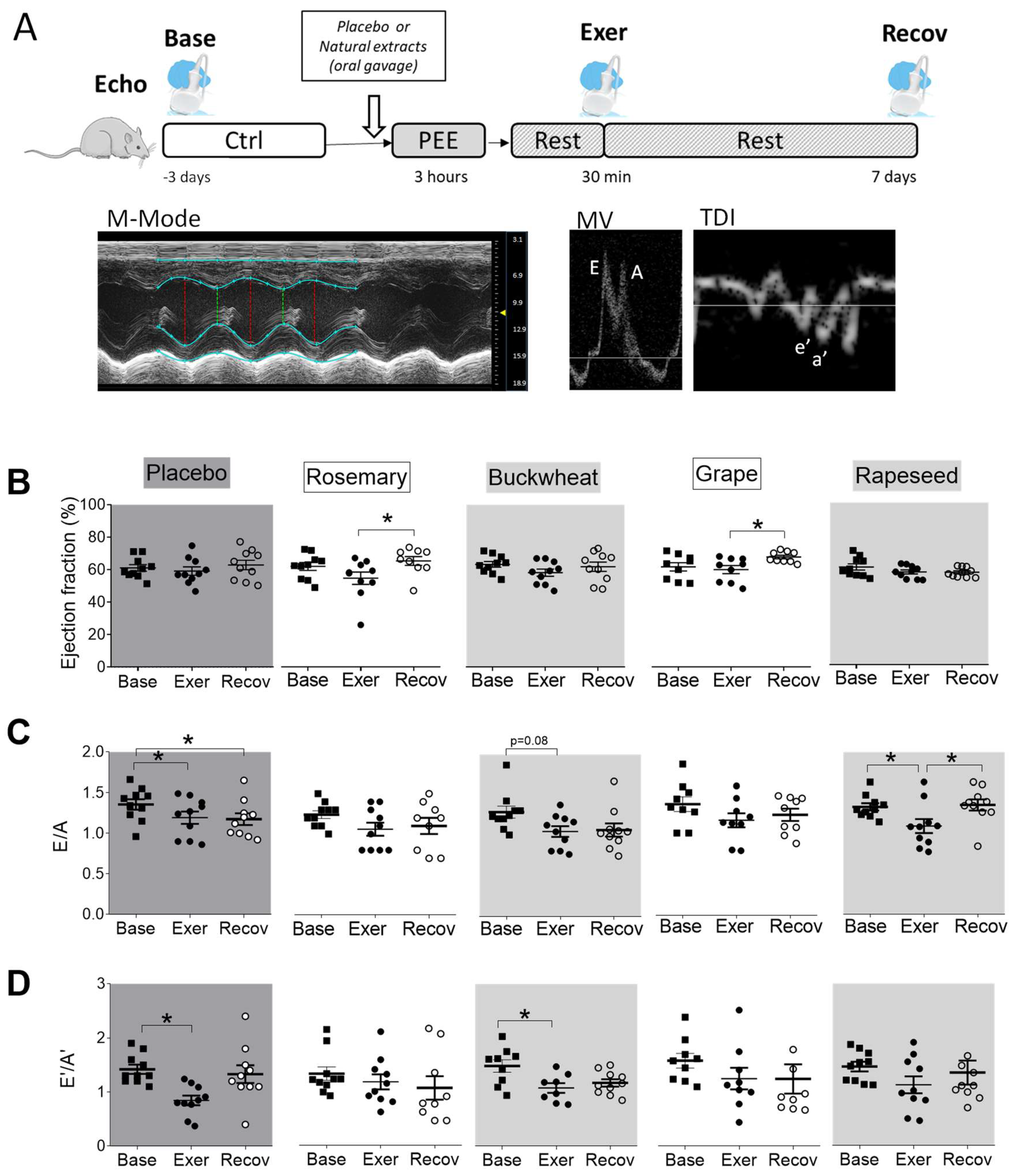 Antioxidants 12 01474 g004