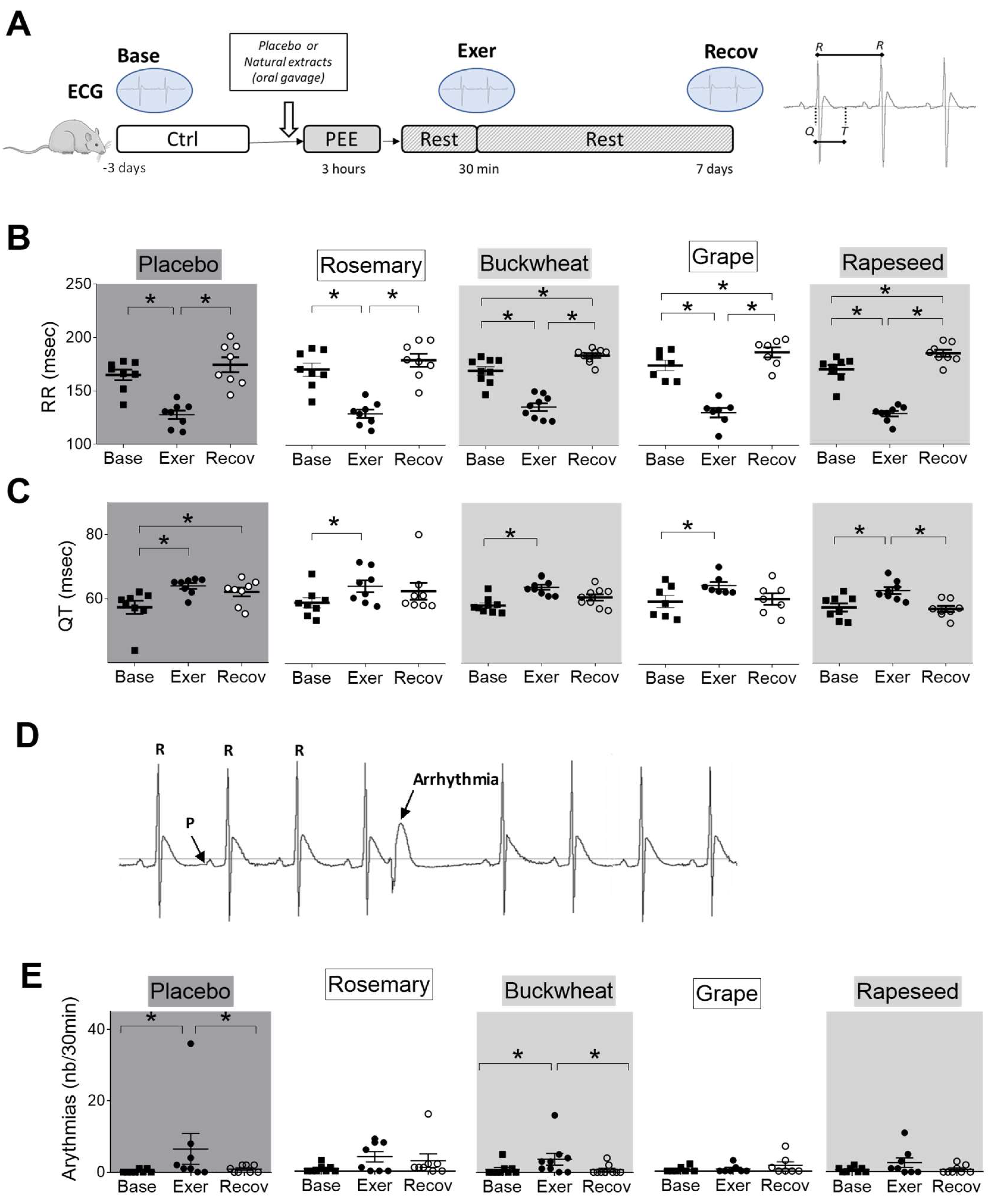 Antioxidants 12 01474 g006