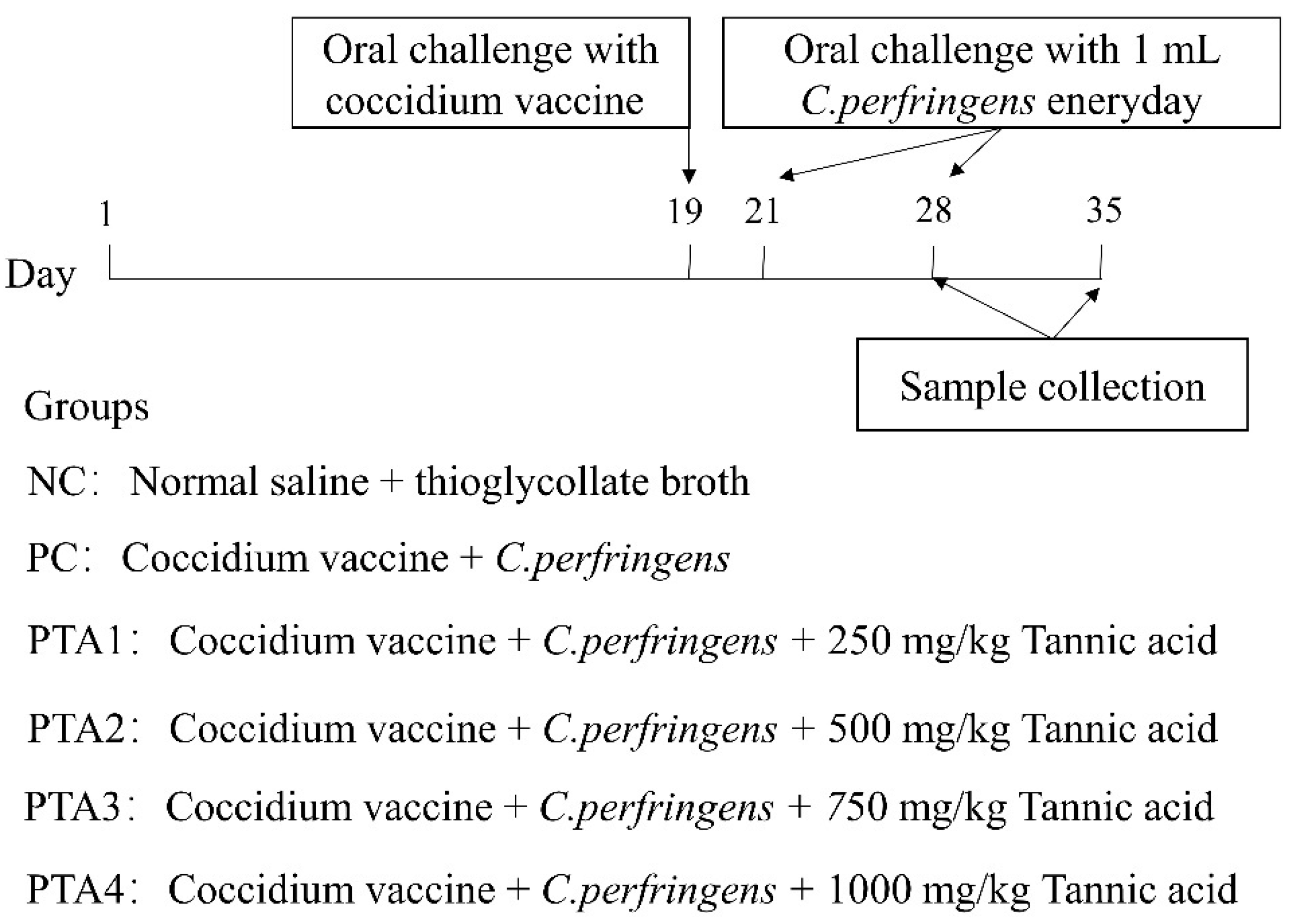 Antioxidants 12 01476 g001 Antioxidants 12 01476 g001