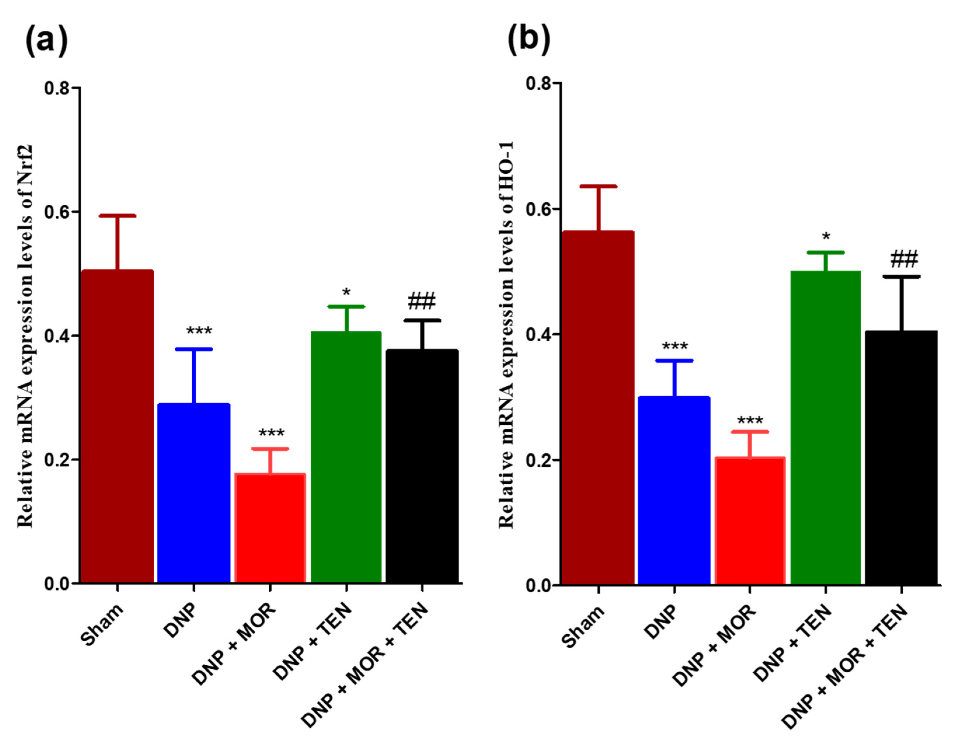 Antioxidants 12 01478 g006
