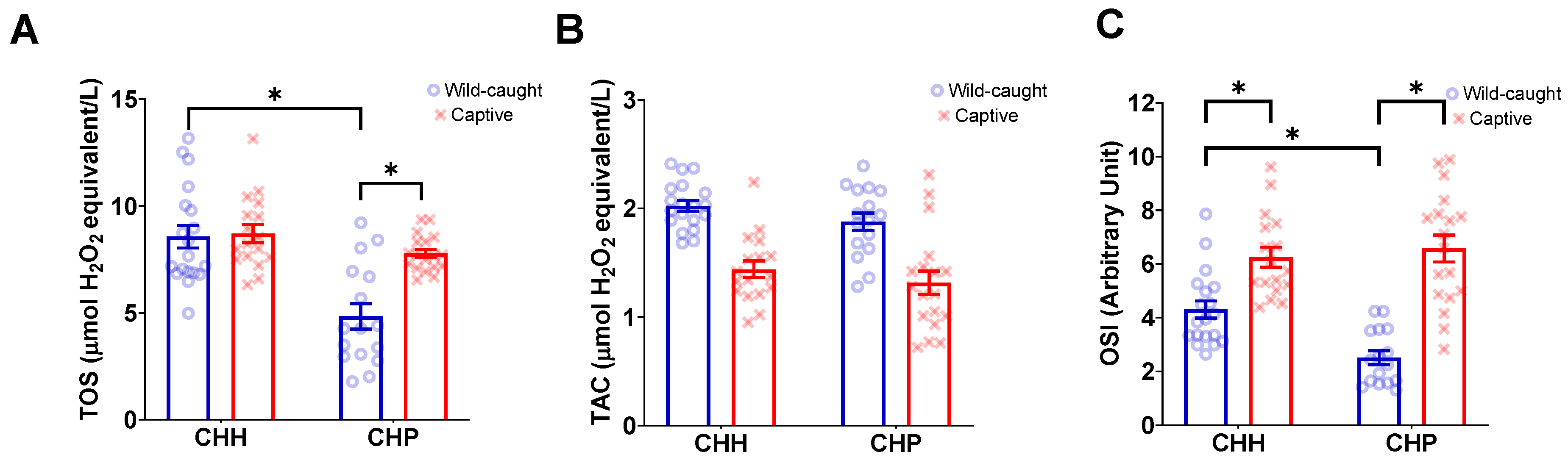 Antioxidants 12 01486 g003 Antioxidants 12 01486 g003