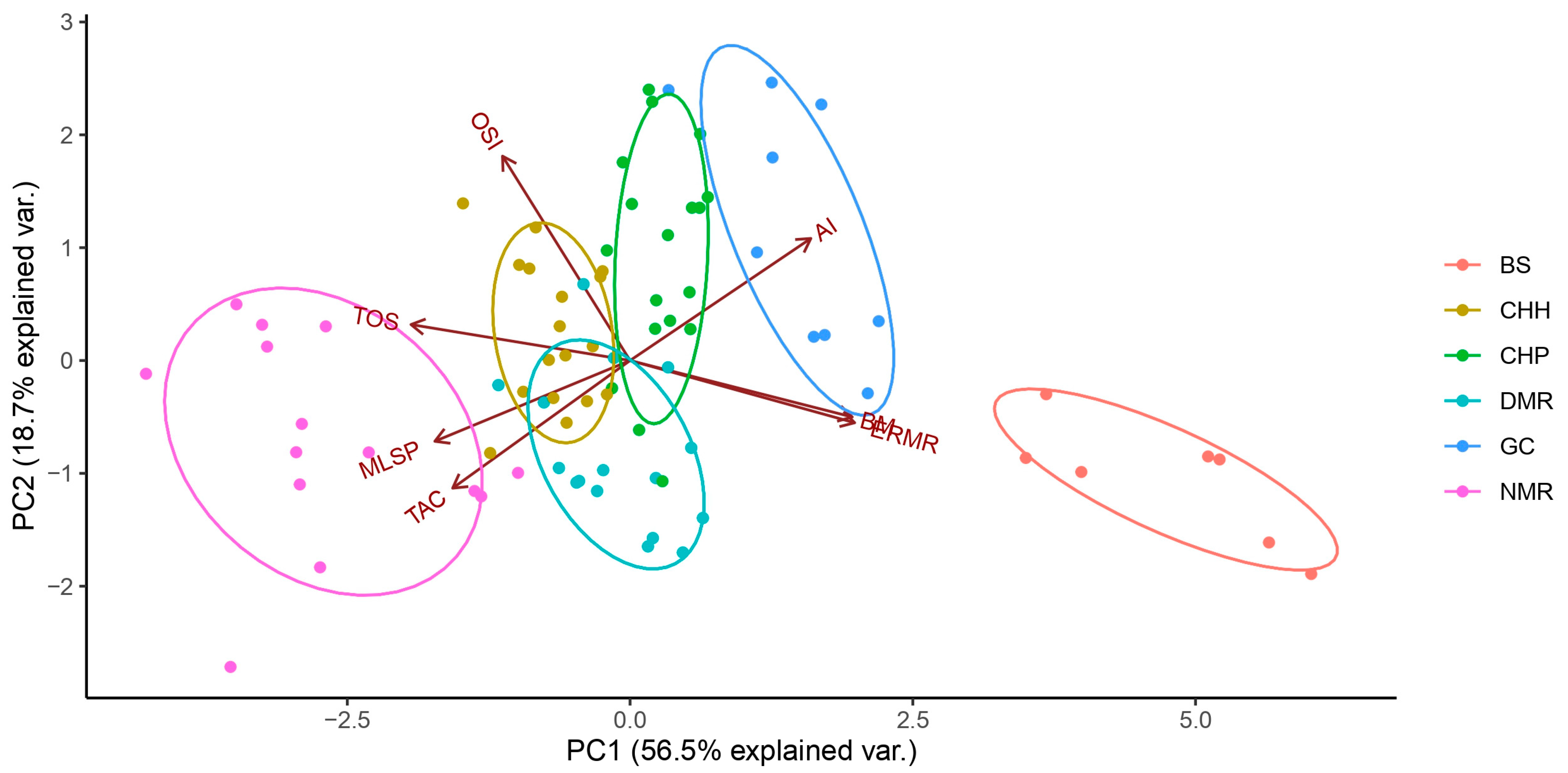 Antioxidants 12 01486 g005 Antioxidants 12 01486 g005