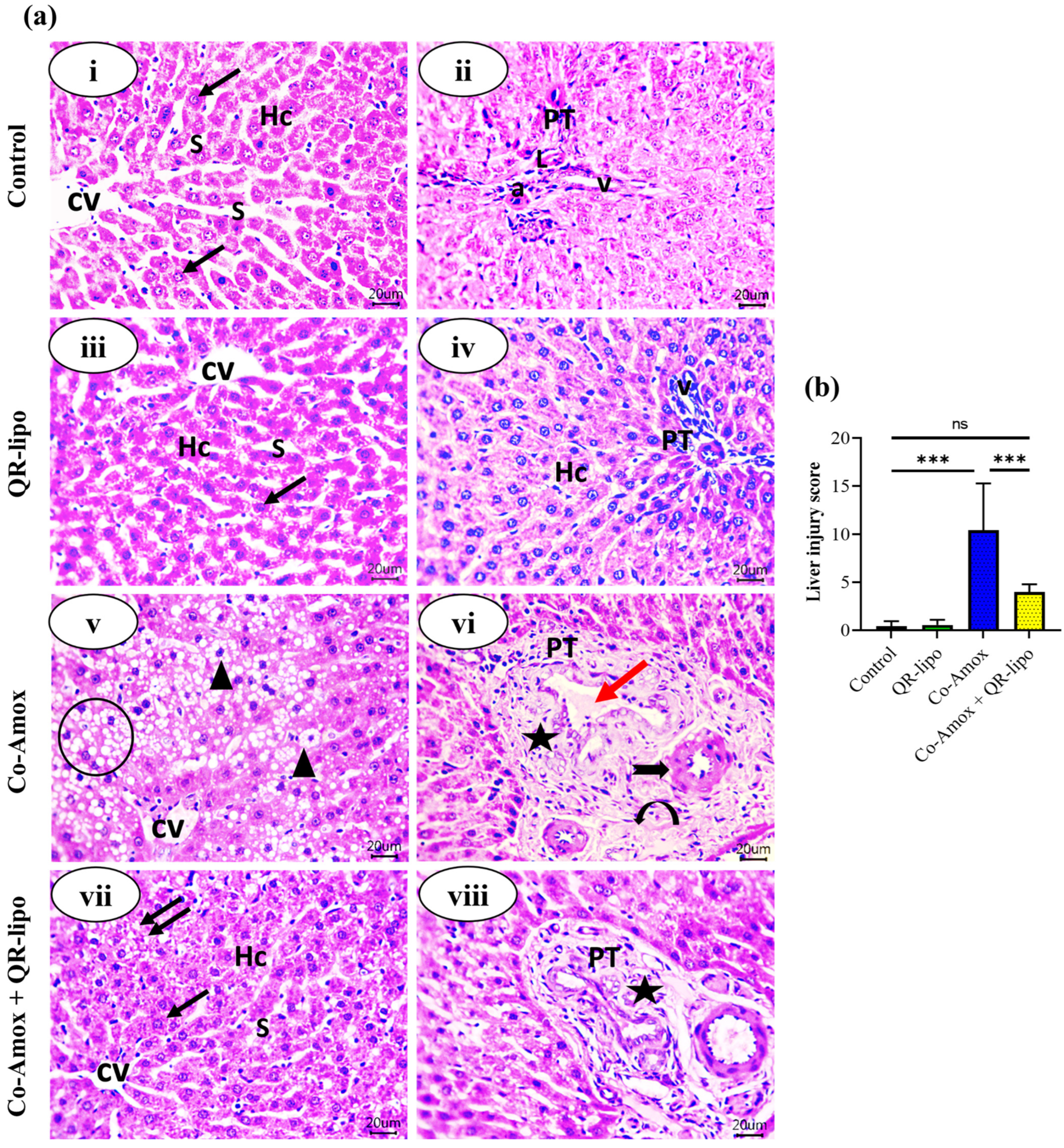 Antioxidants 12 01487 g008