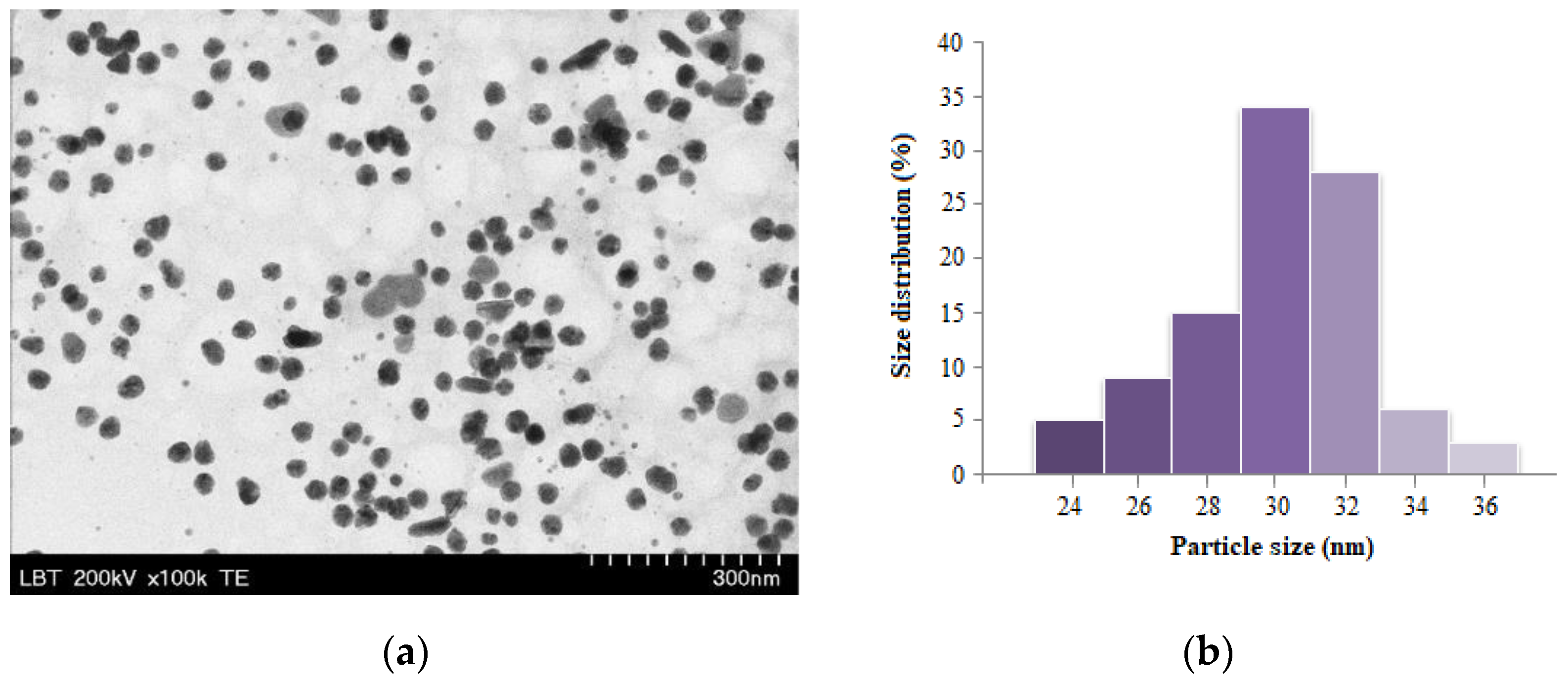 Antioxidants 12 01489 g002