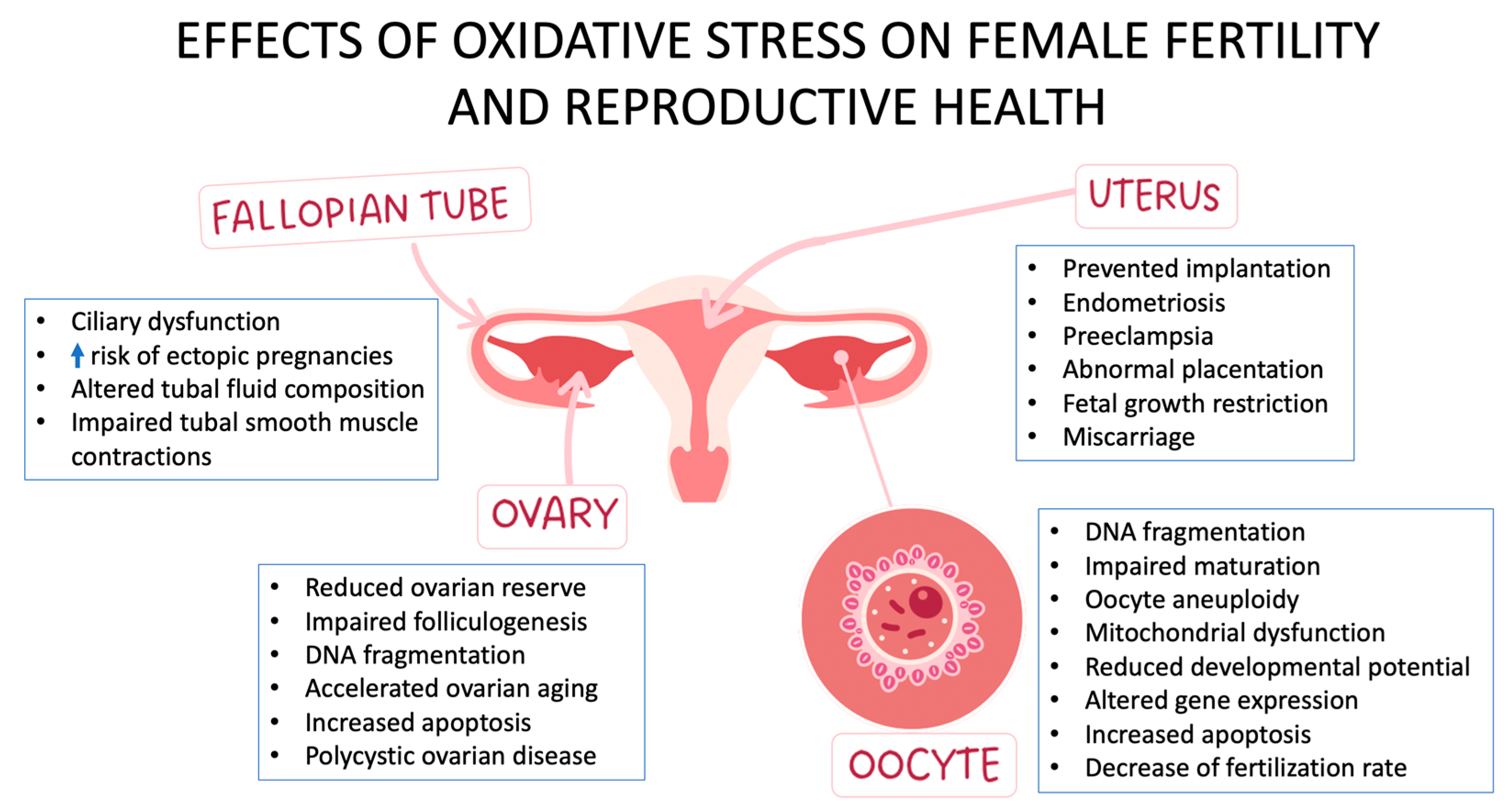 Antioxidants 12 01490 g001