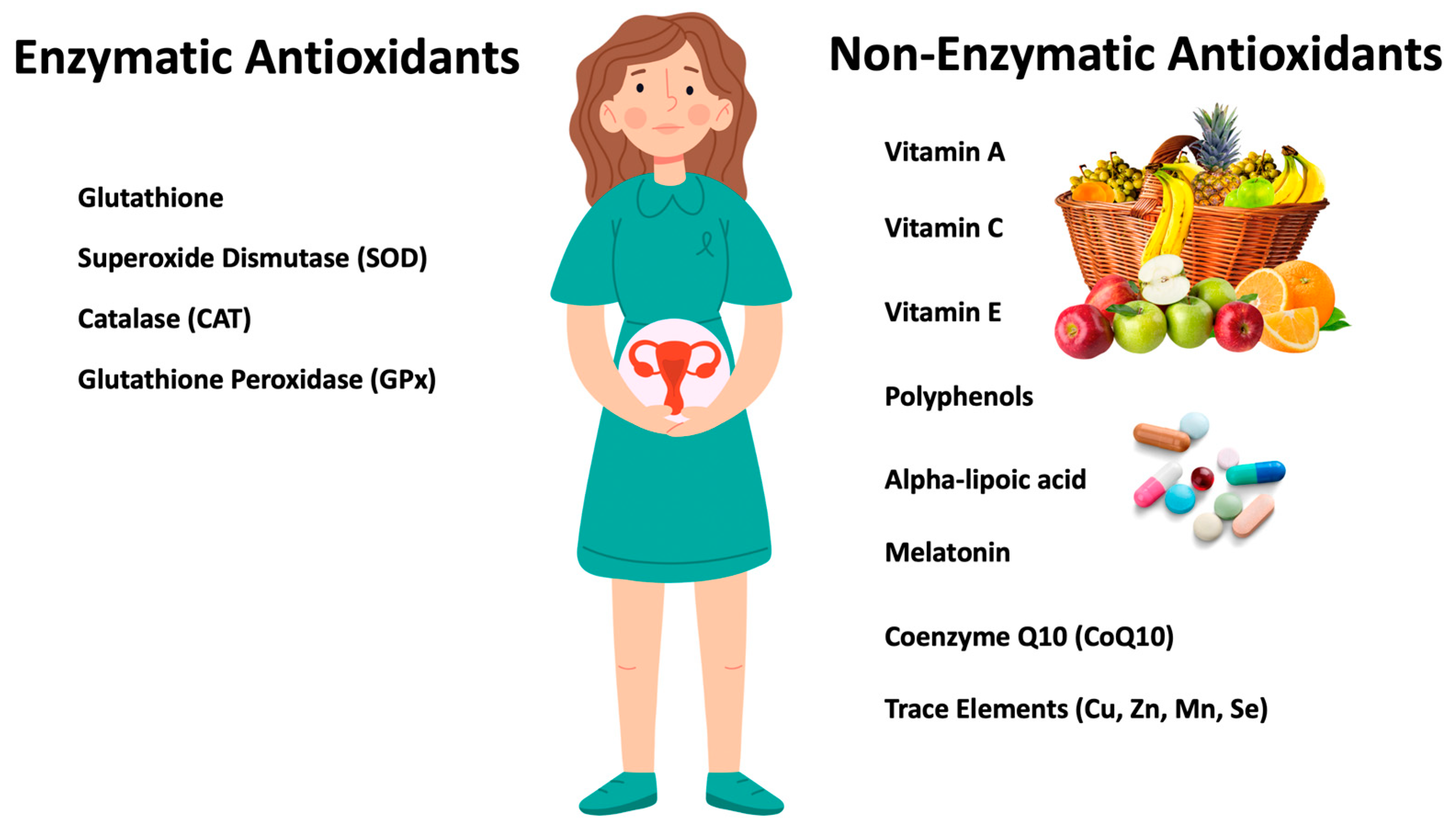 Antioxidants 12 01490 g002