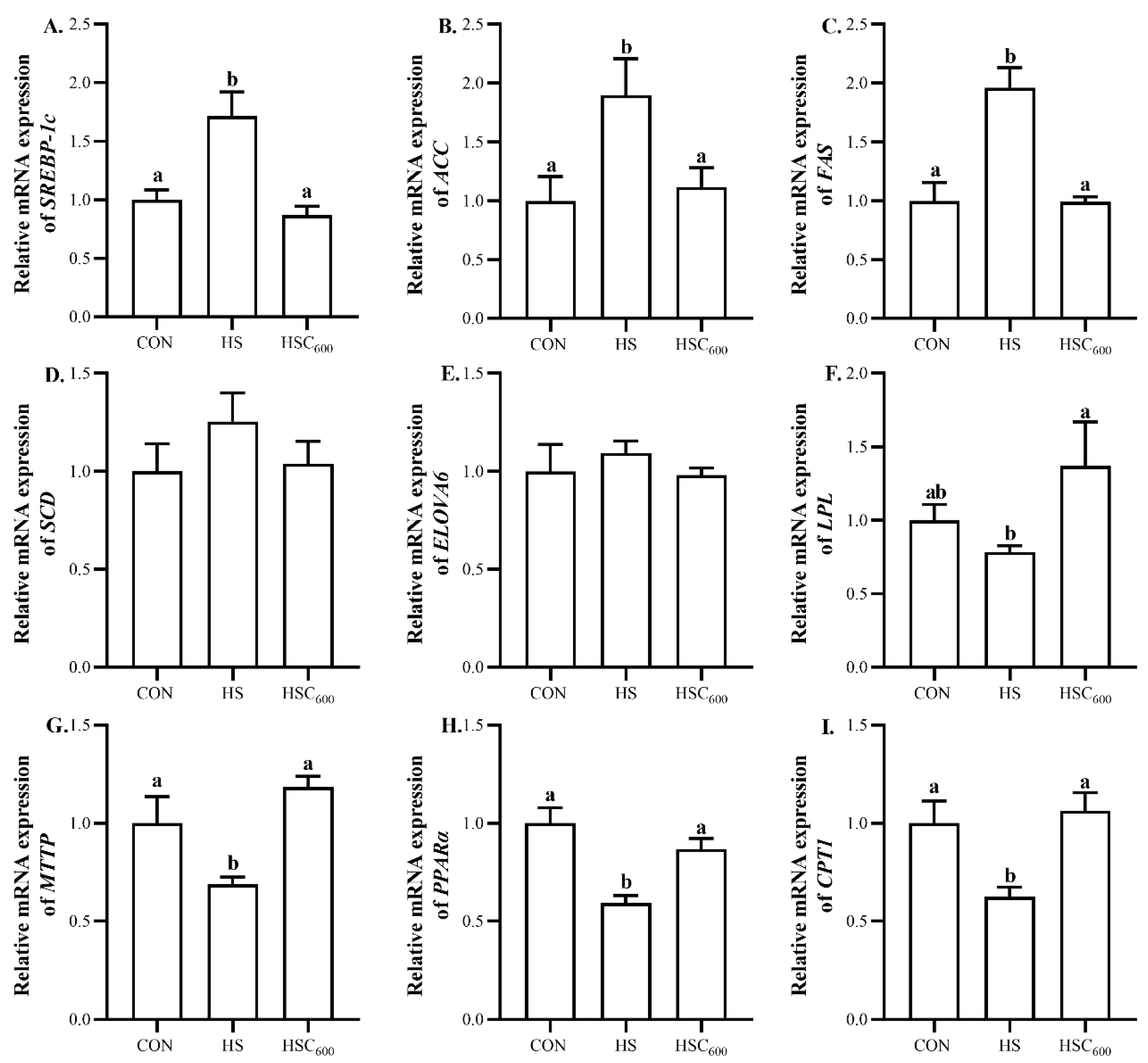 Antioxidants 12 01497 g006