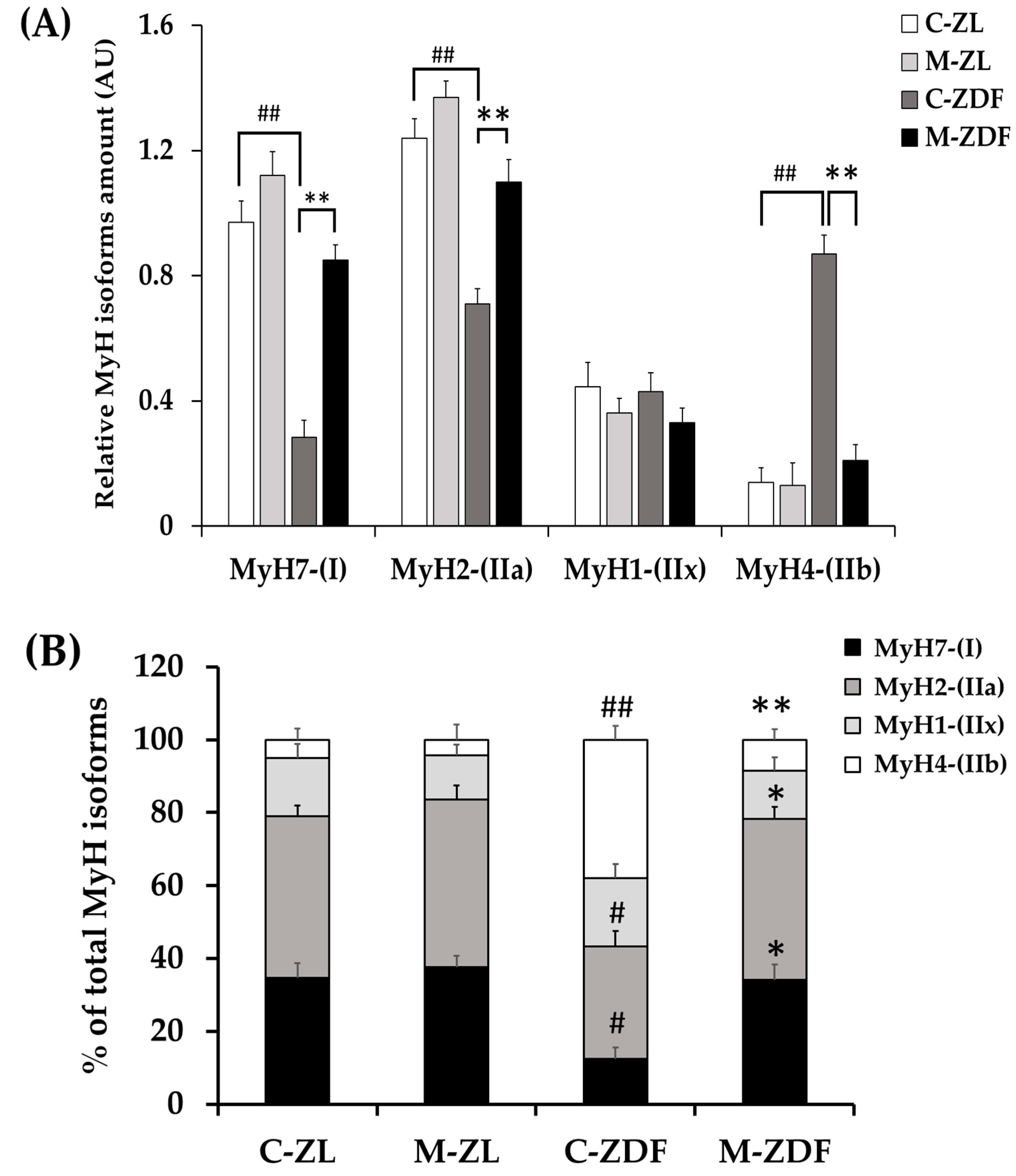 Antioxidants 12 01499 g006a Antioxidants 12 01499 g006a
