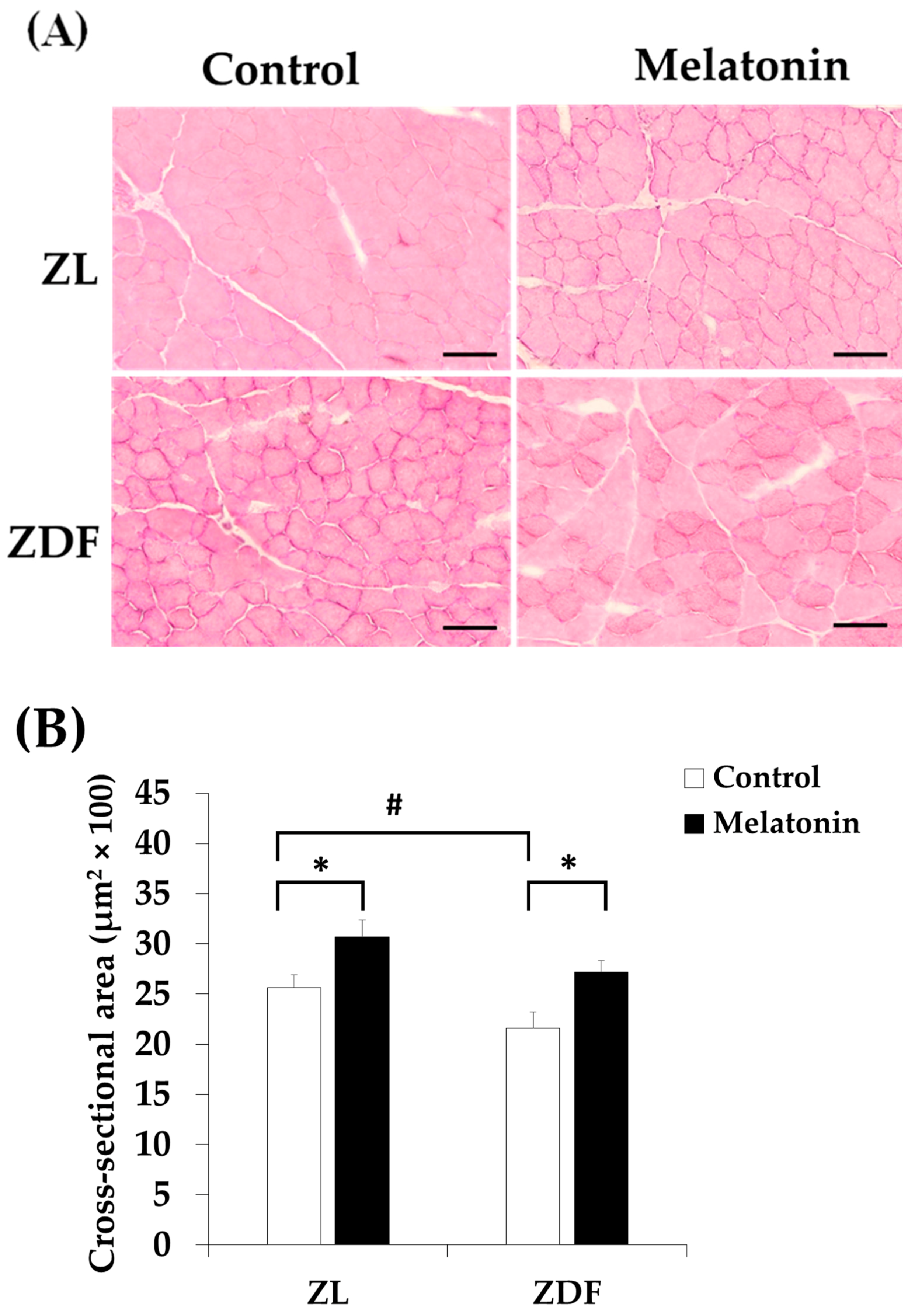 Antioxidants 12 01499 g009 Antioxidants 12 01499 g009
