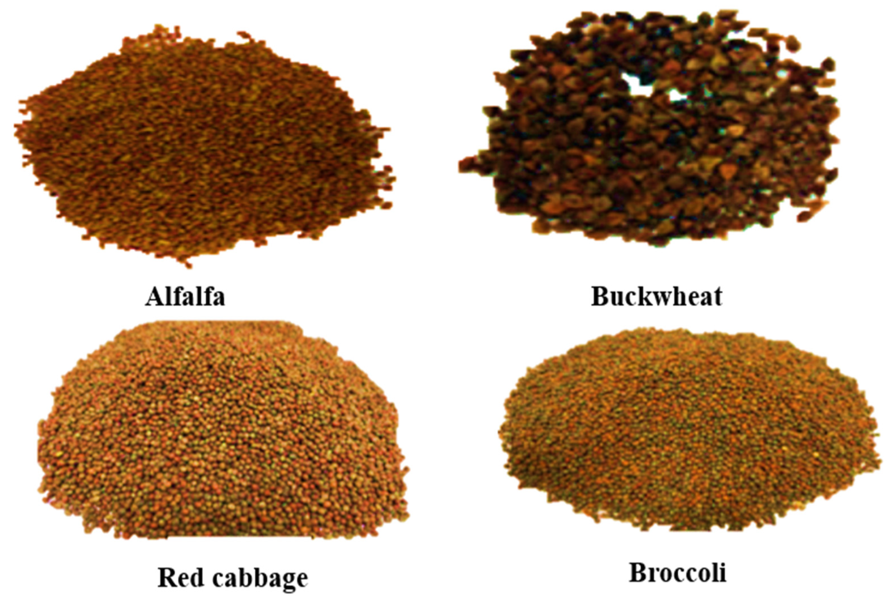 Antioxidants 12 01501 g001
