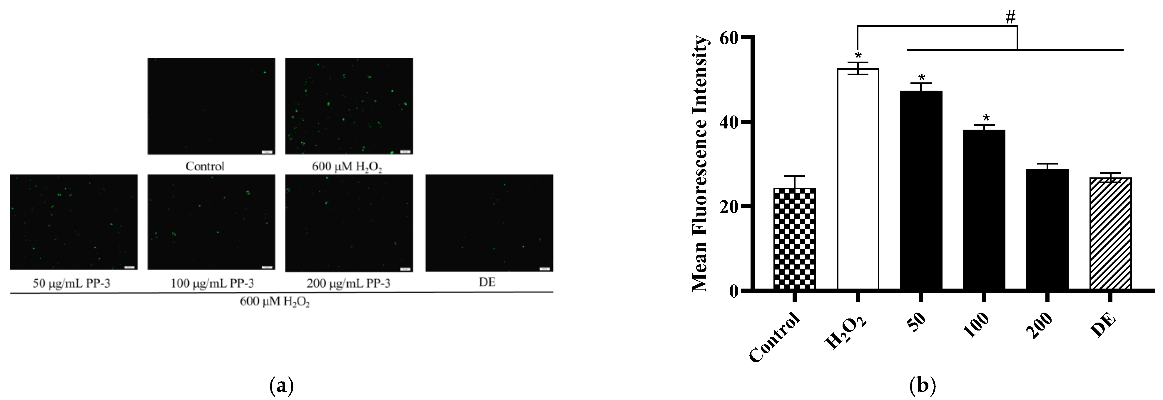 Antioxidants 12 01506 g007